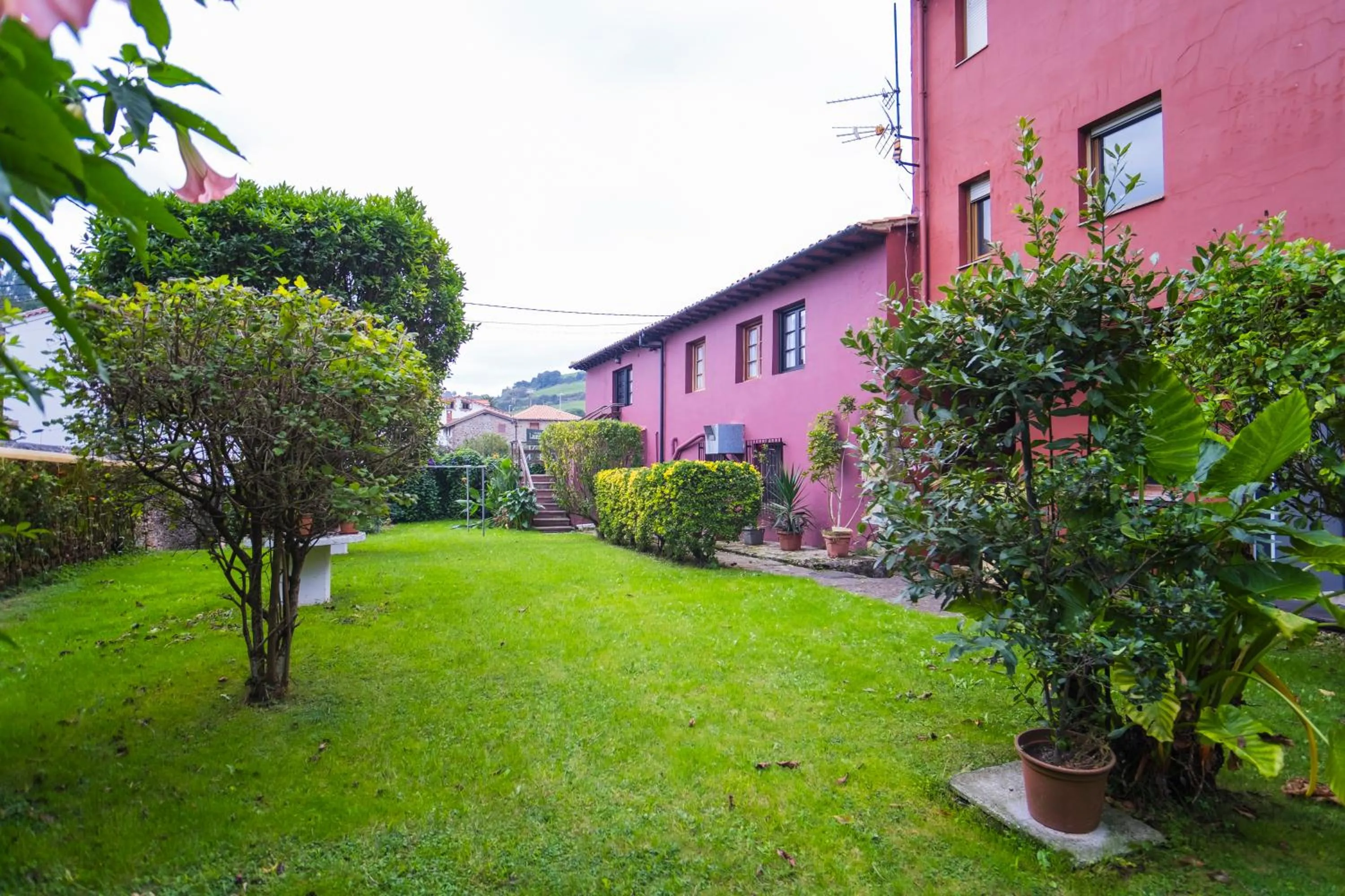 Garden in Hotel Alda Puerto Calderón