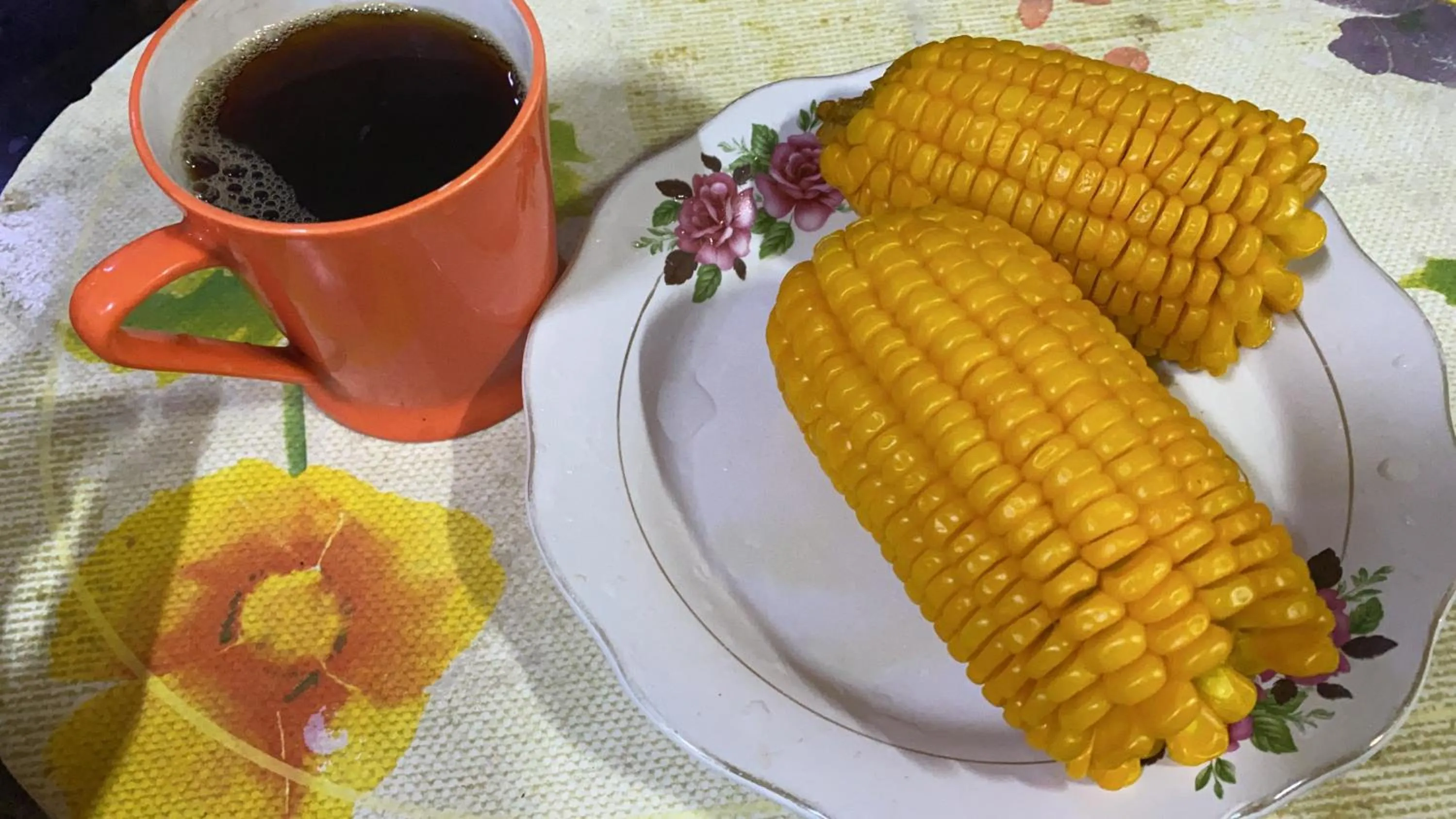 Food in Galaxy Residency, Panchgani - MTDC Approved