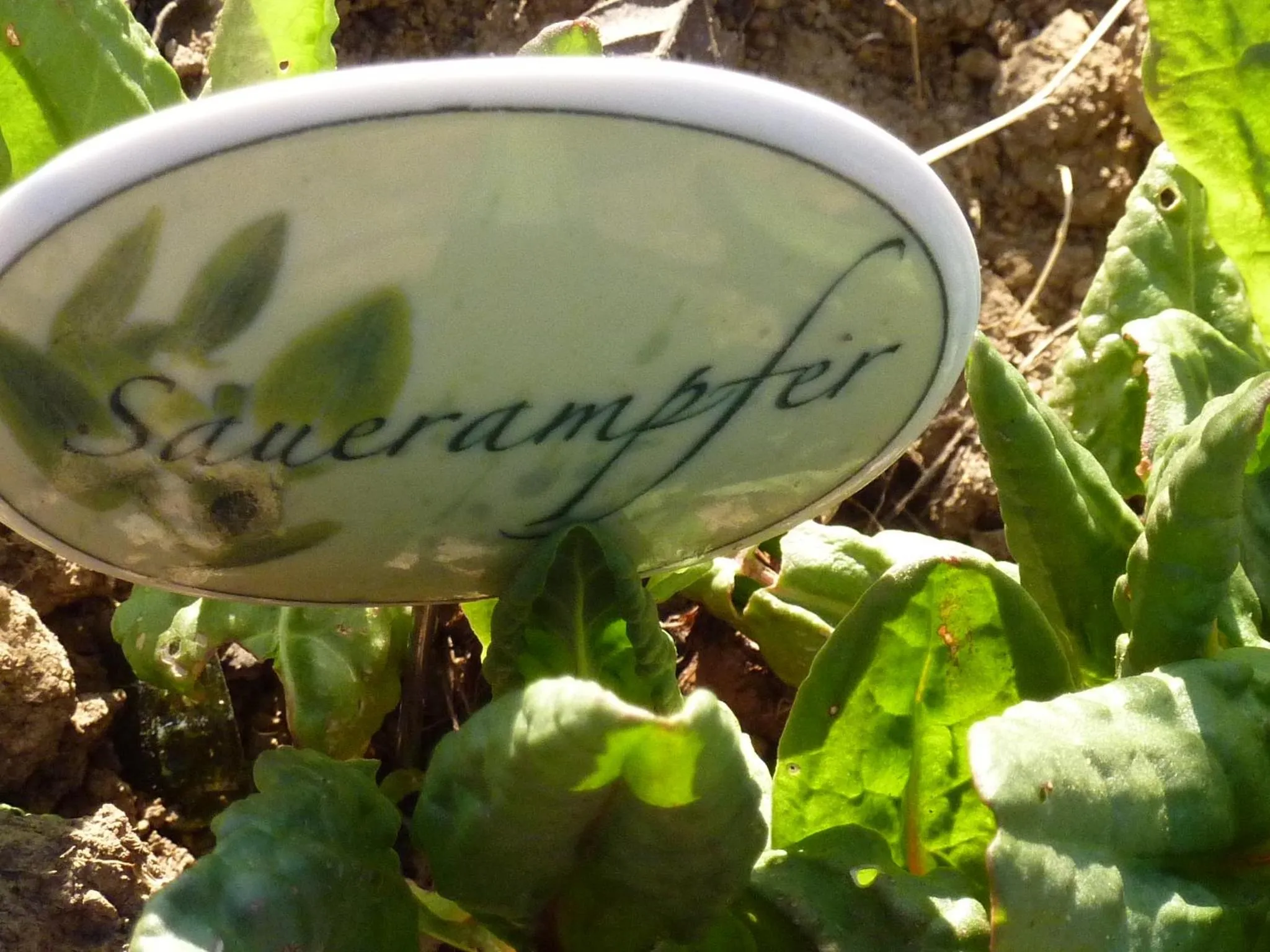 Property building in Landhotel-Gasthof Grüner Baum