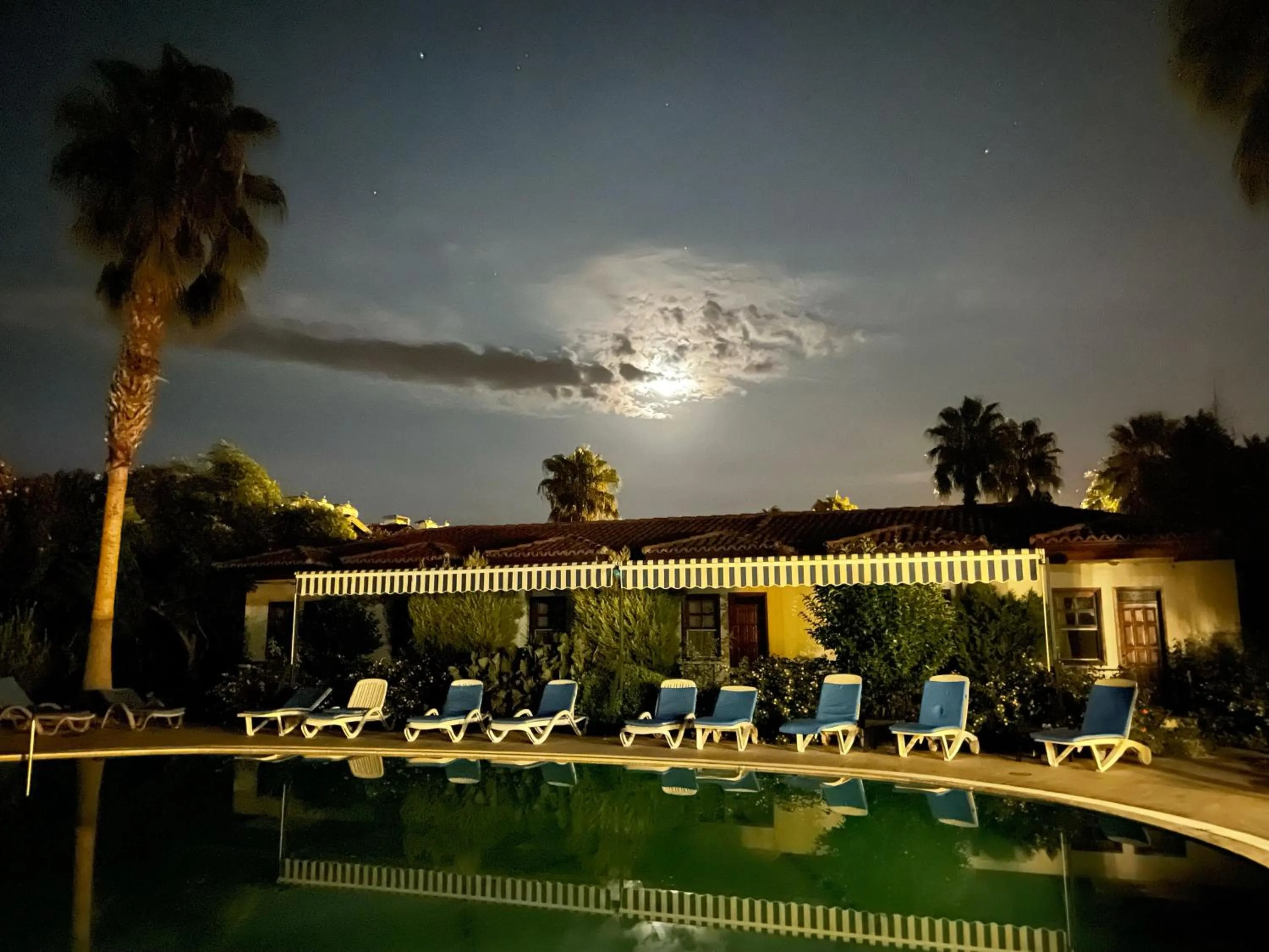 Garden in Dalyan YUNUS HOTEL