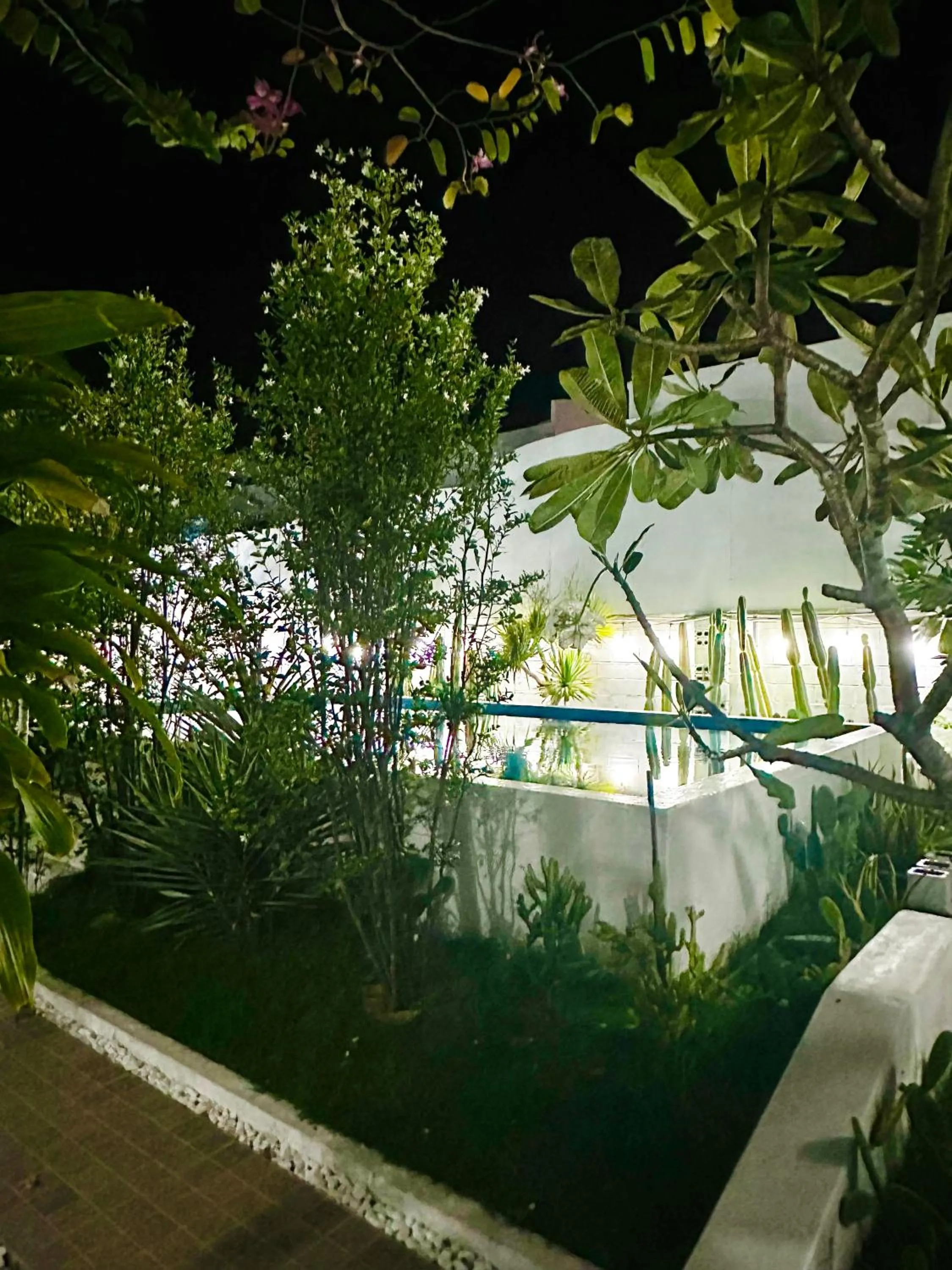 Moonbeam Homestay & Mini-resort Mui Ne