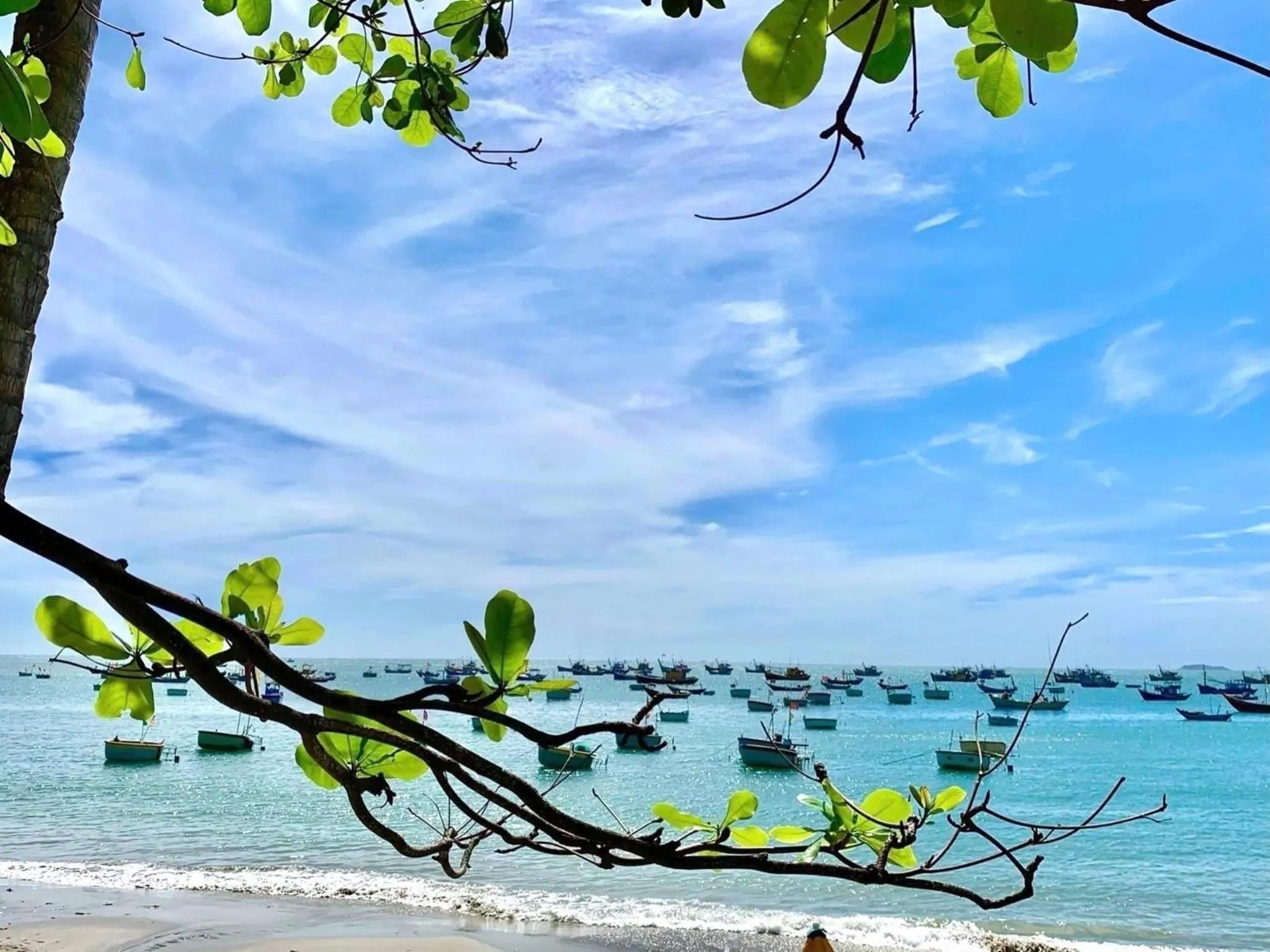 Moonbeam Homestay & Mini-resort Mui Ne