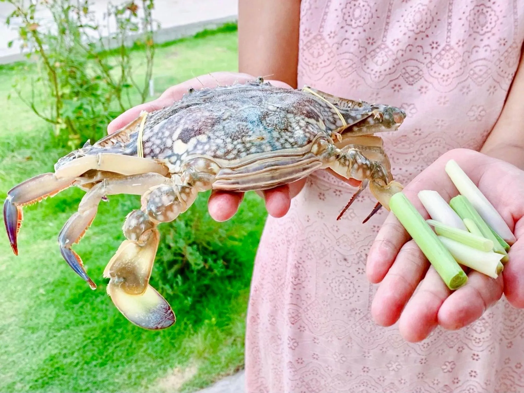 Moonbeam Homestay & Mini-resort Mui Ne