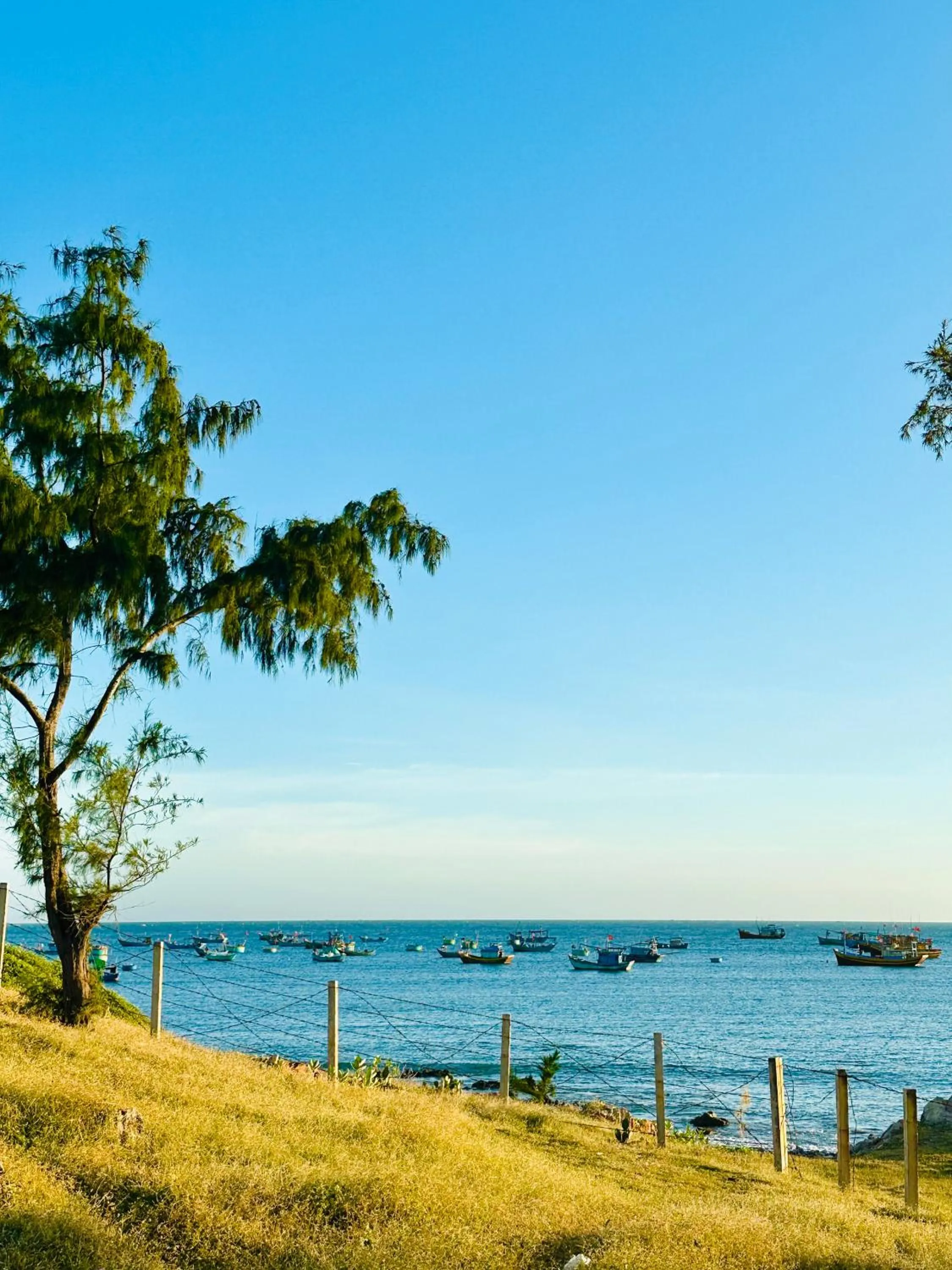 Moonbeam Homestay & Mini-resort Mui Ne