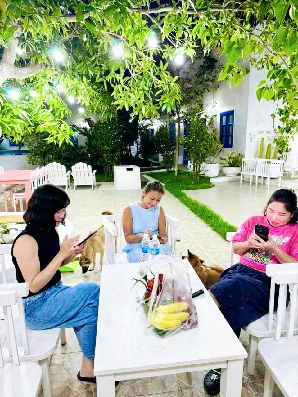 Moonbeam Homestay & Mini-resort Mui Ne