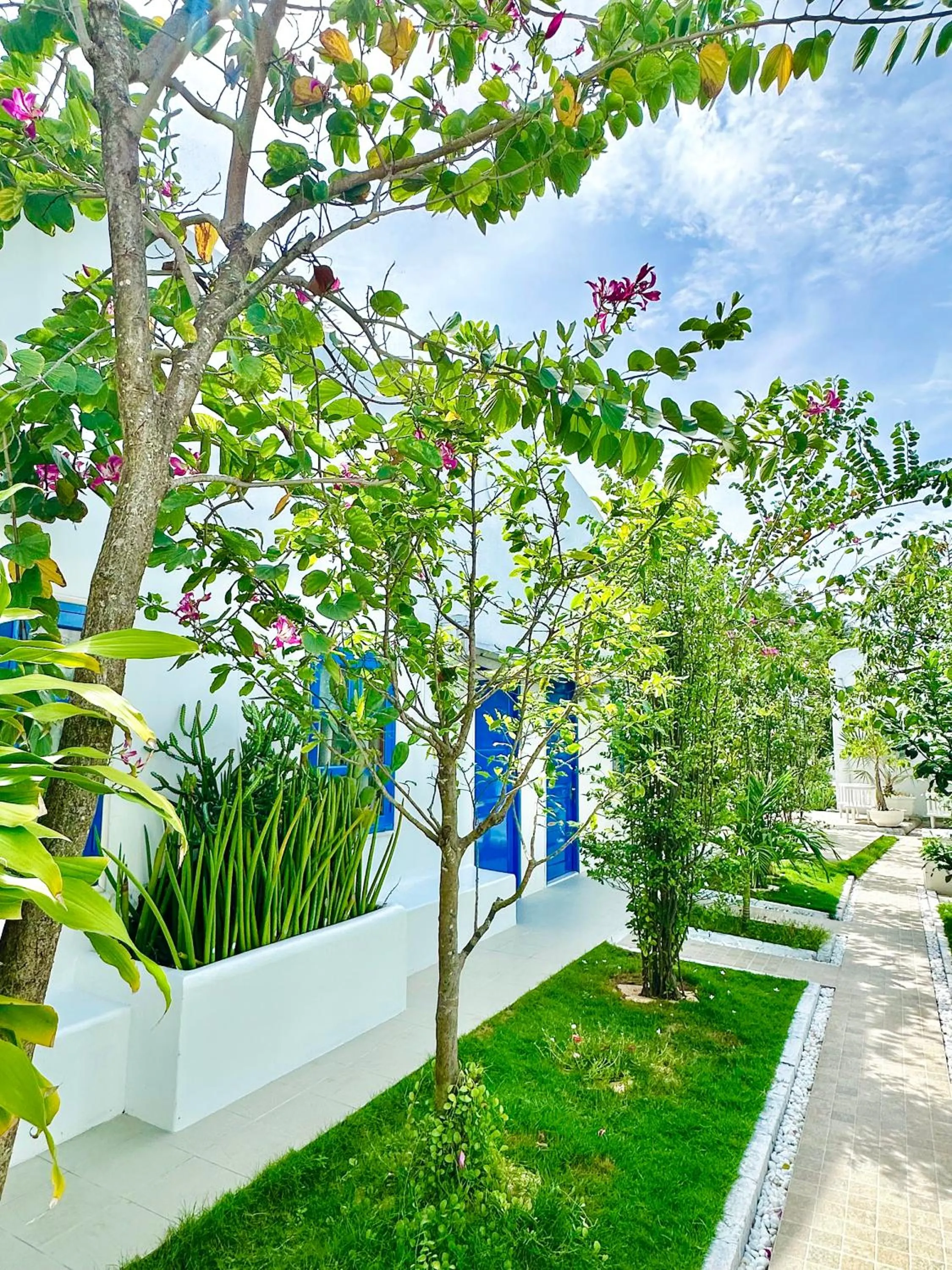 Moonbeam Homestay & Mini-resort Mui Ne