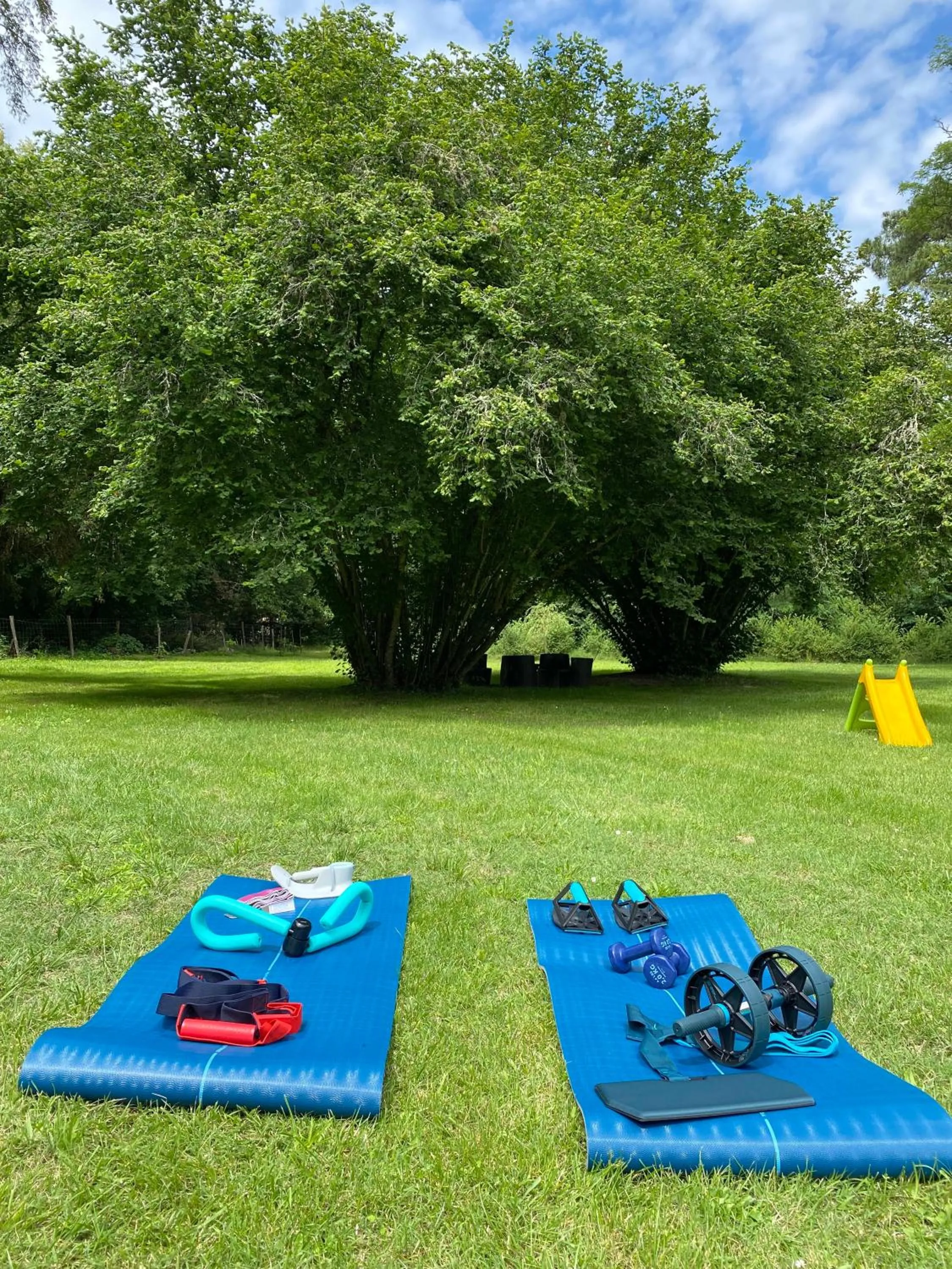 Fitness centre/facilities in Les Volets Violets