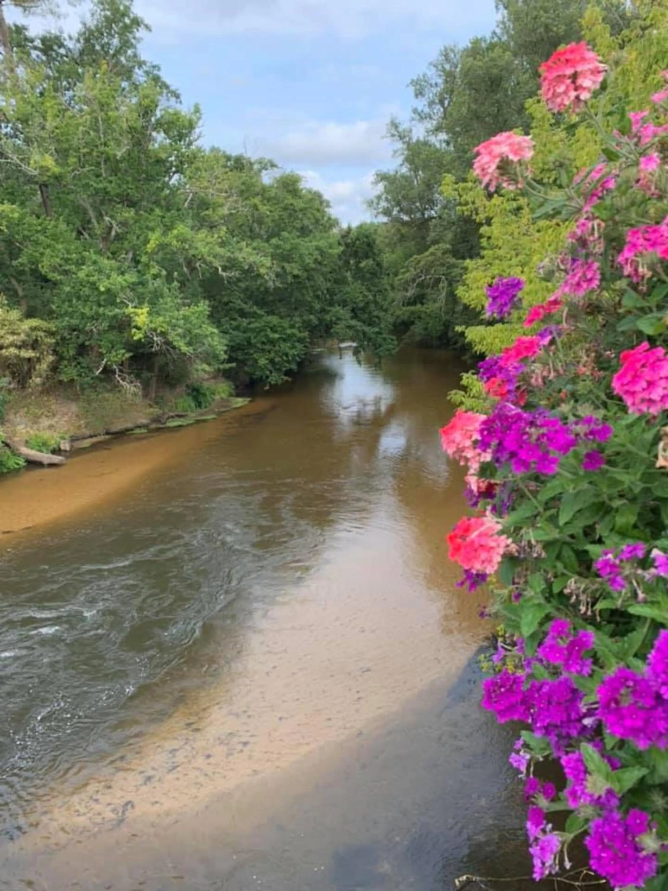 Garden in Les Volets Violets