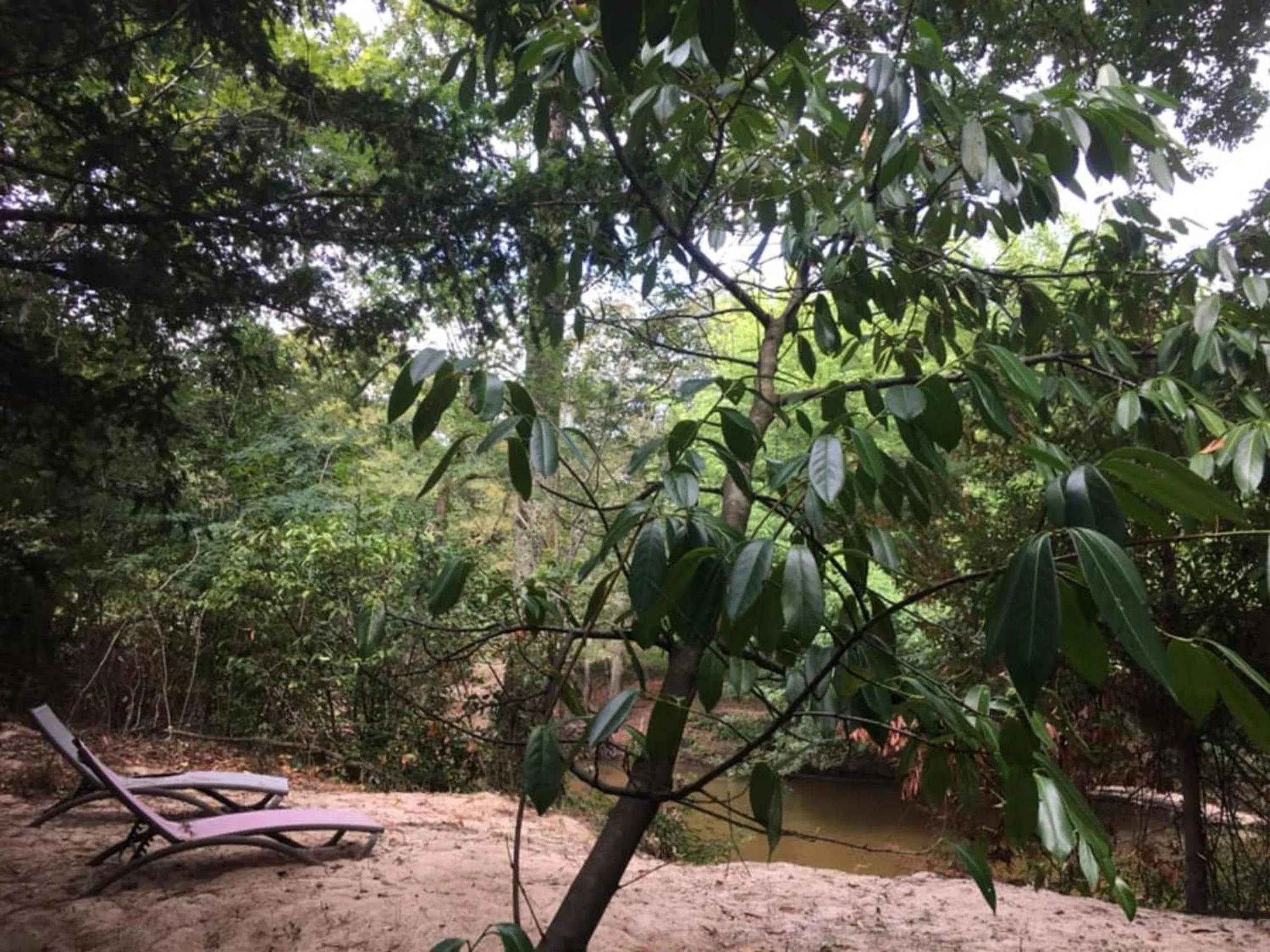 Garden in Les Volets Violets