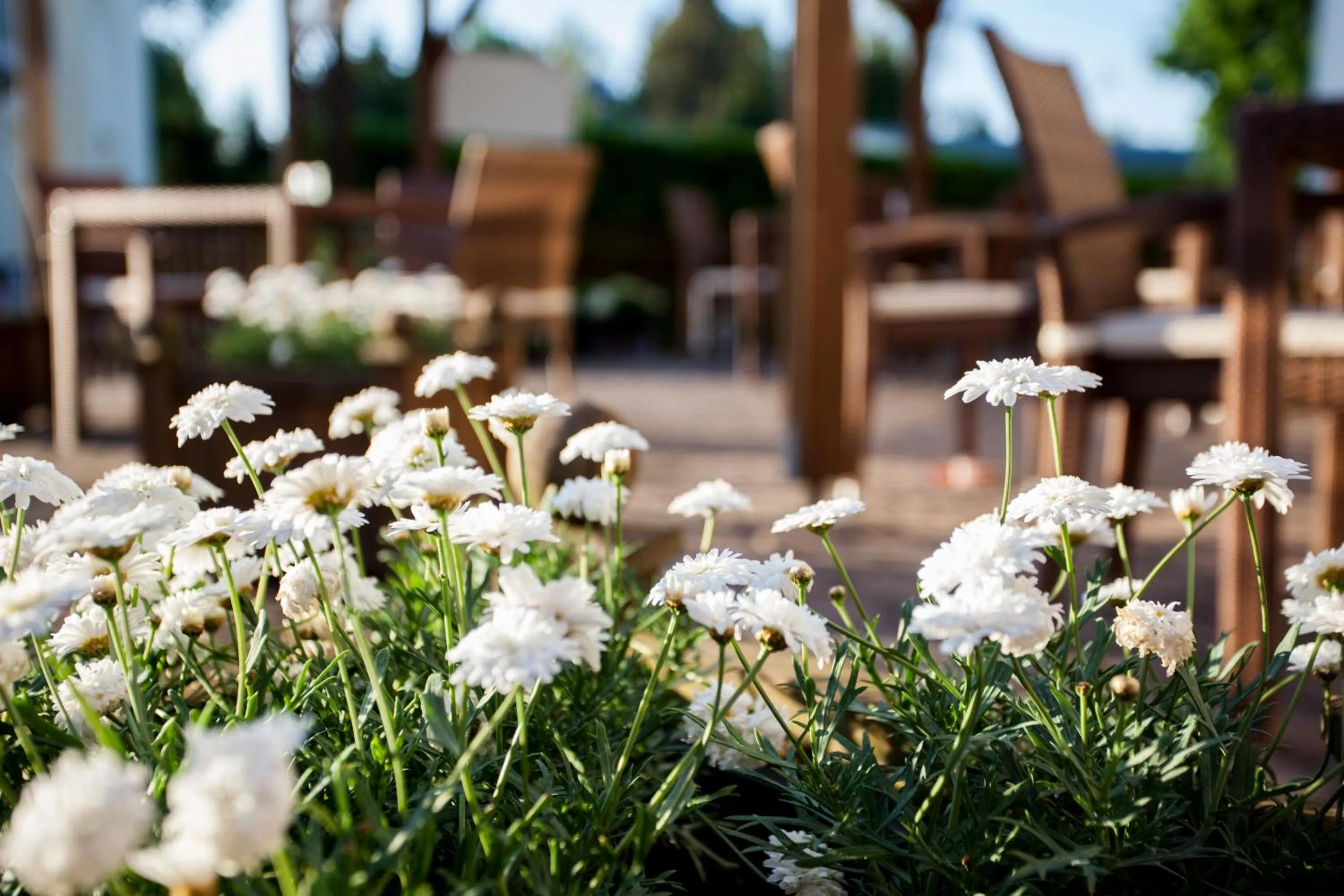 Garden view in Hotel Barnimer Hof