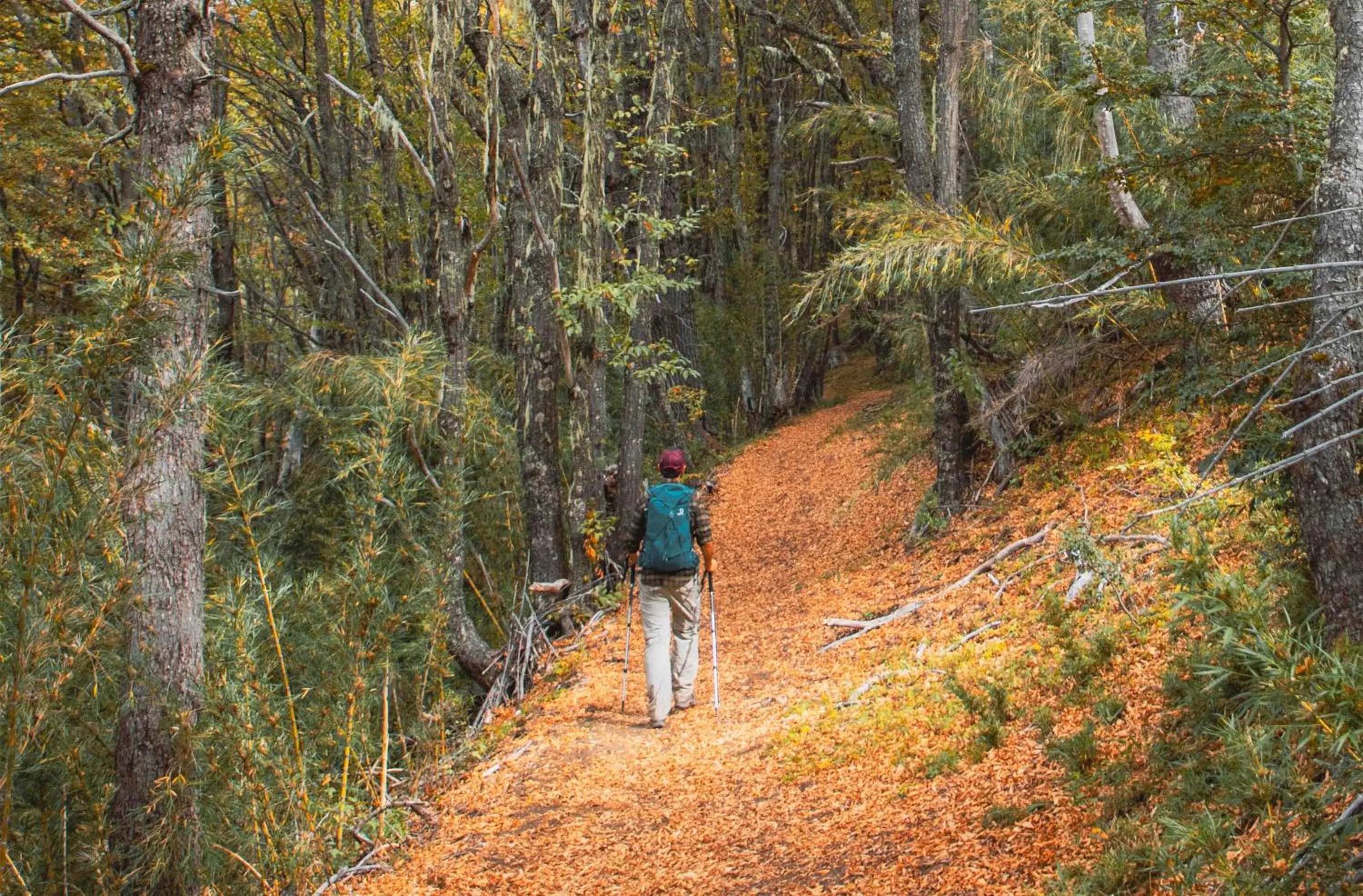 El Refugio Ski & Summer Lodge