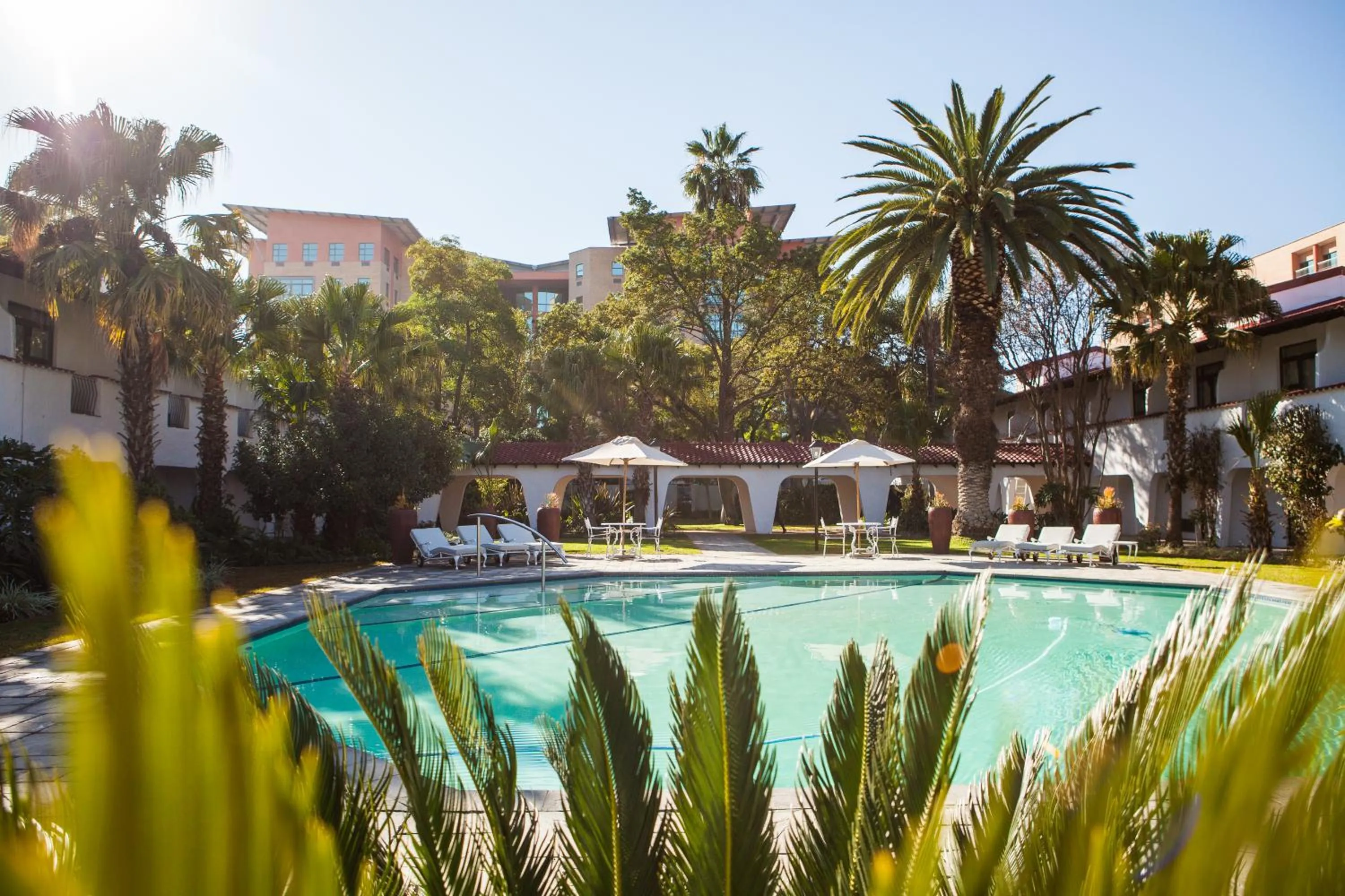 Swimming pool in Garden Court Polokwane