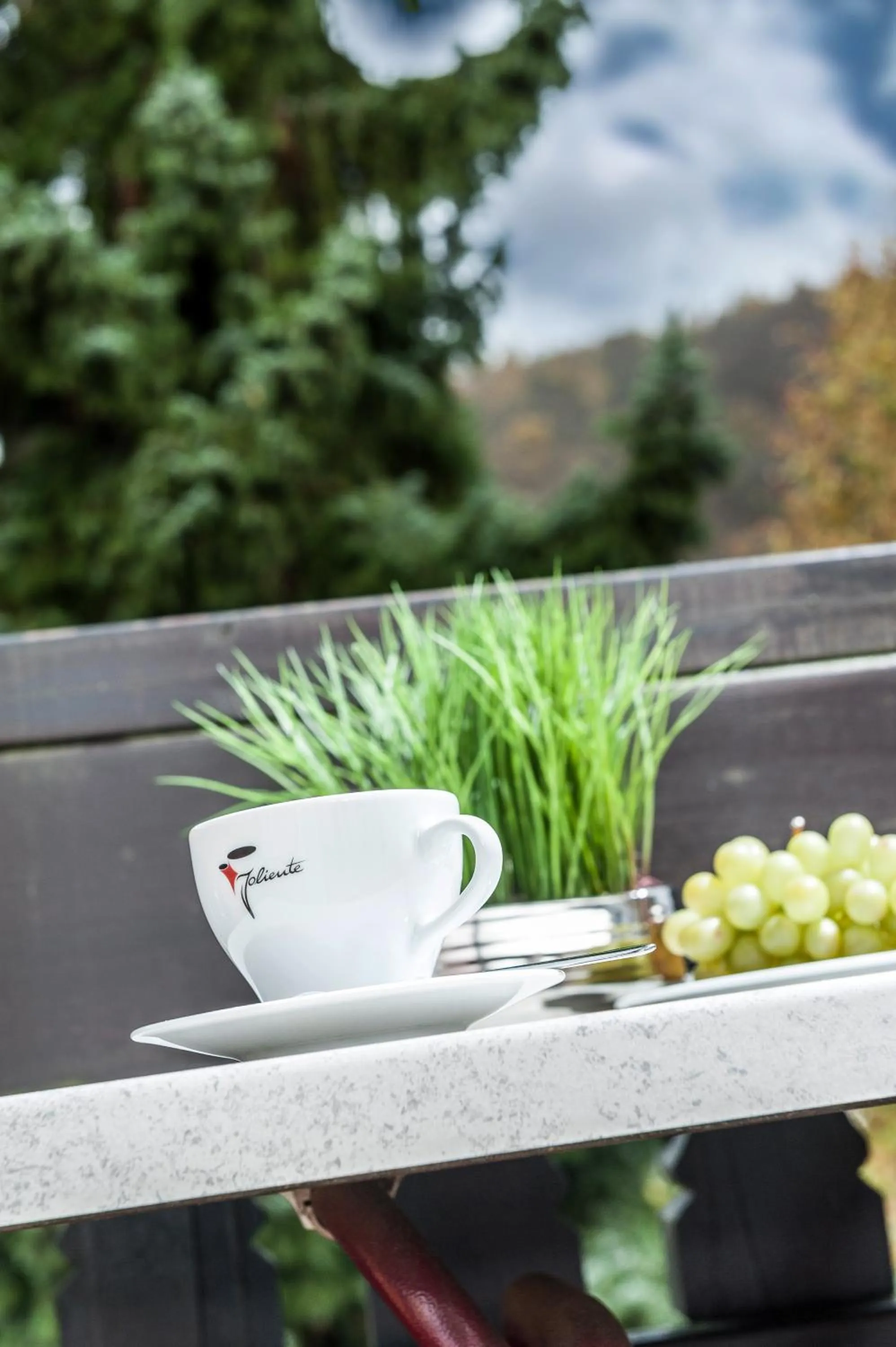 Balcony/Terrace in Hotel am Kurpark