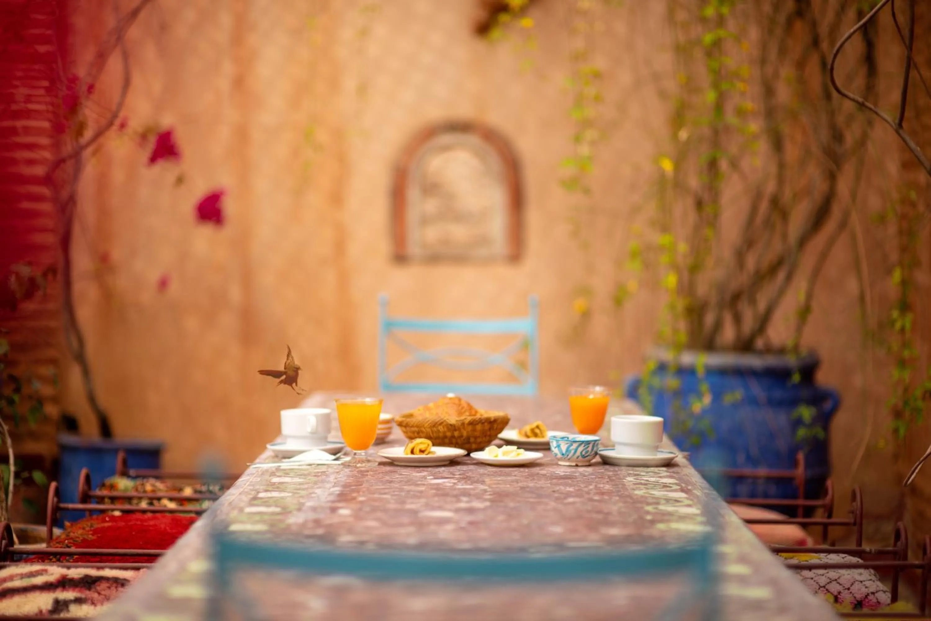 Garden in Riad Persephone