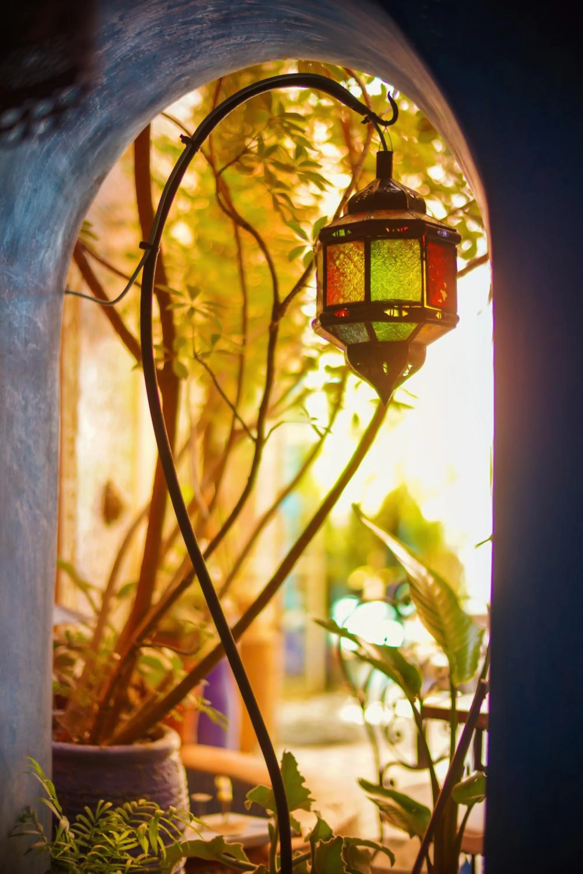 Day in Riad Persephone