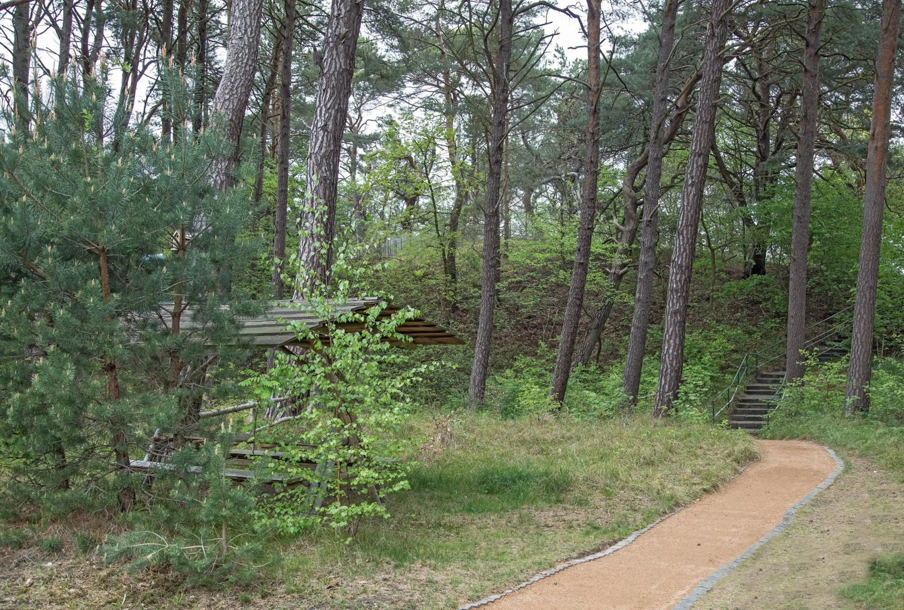 Garden in Upstalsboom Residenzen Trassenheide