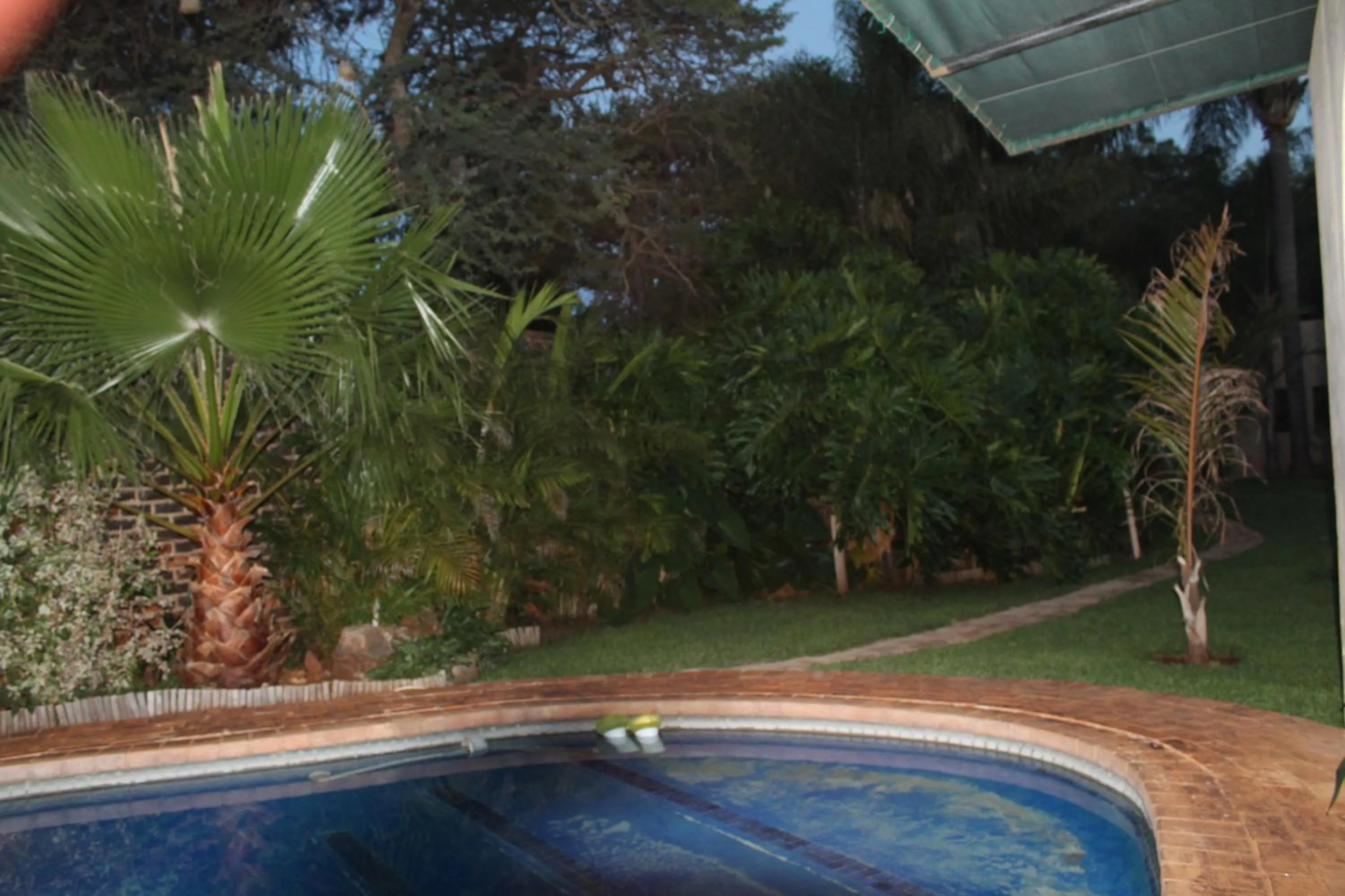 Swimming pool in Fouriestreet 199 Bed and Breakfast