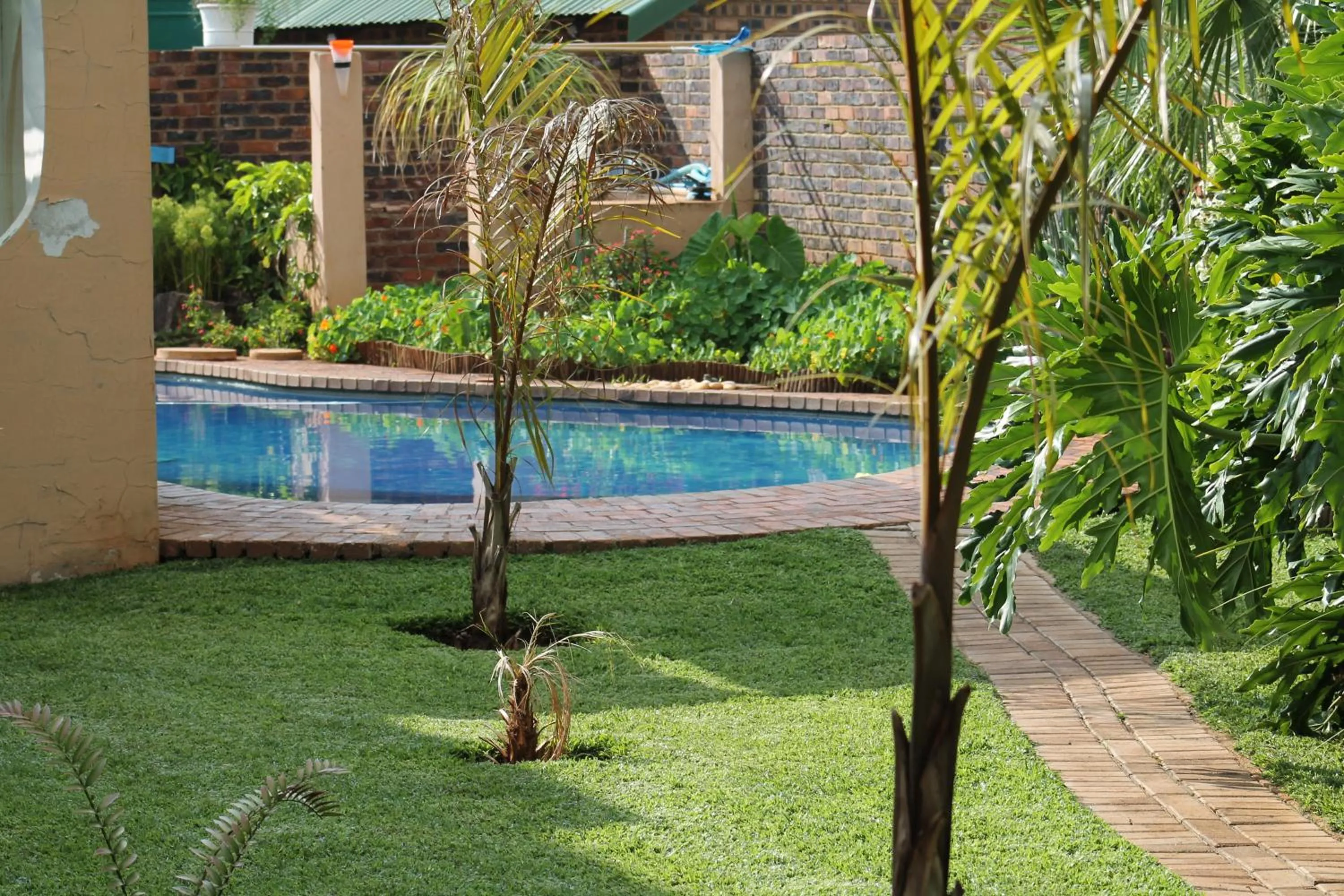 Swimming pool in Fouriestreet 199 Bed and Breakfast