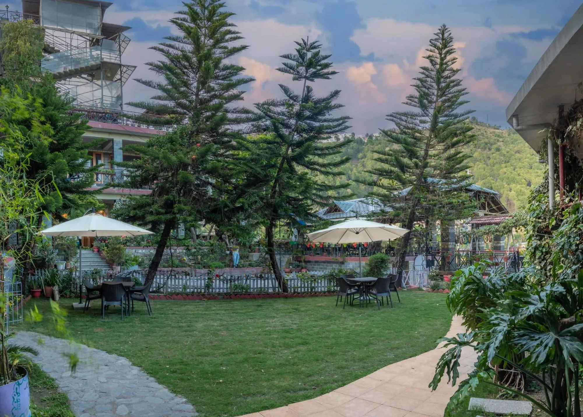 Day in Nandini Villa Dharamshala