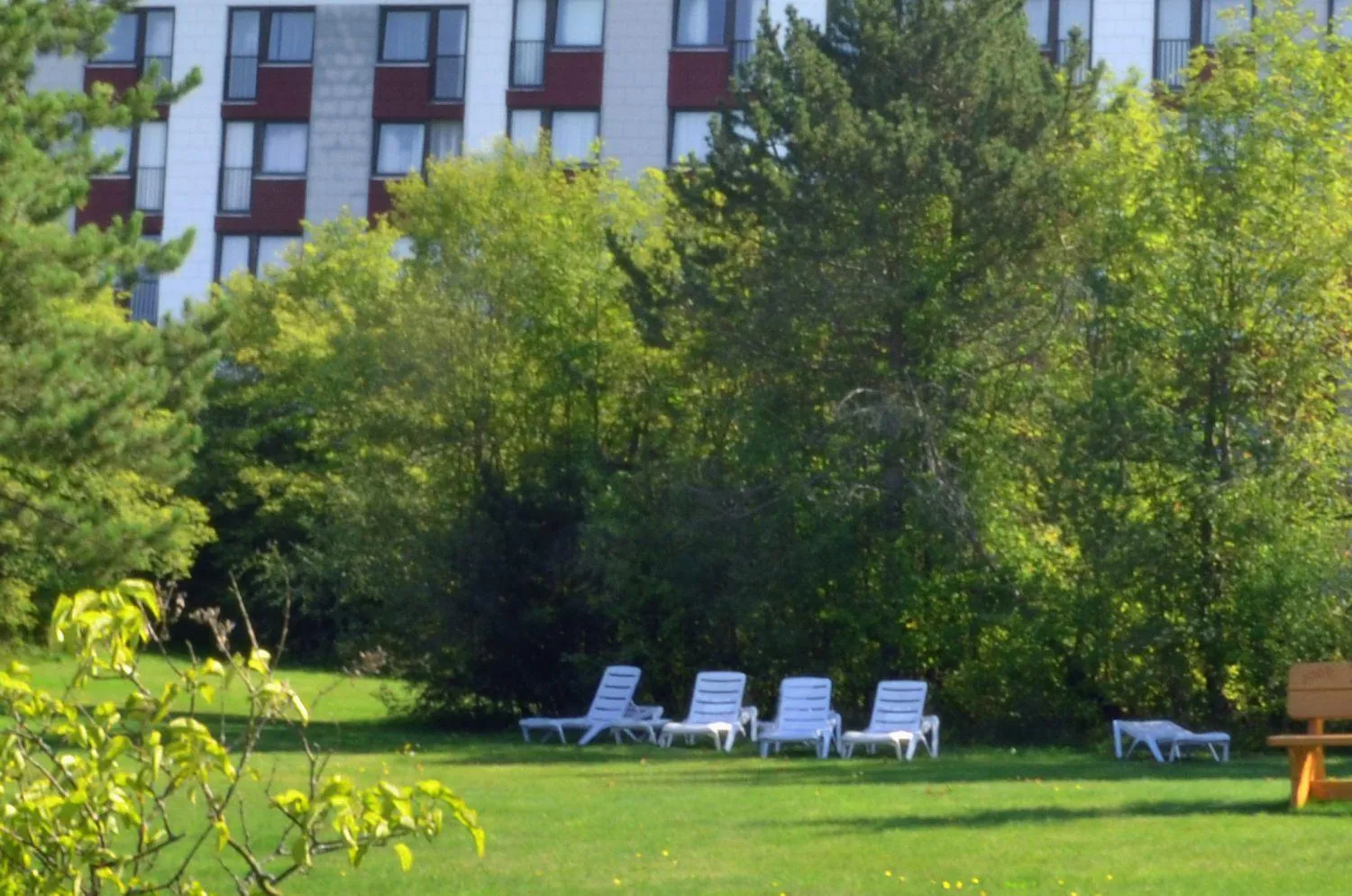 Swimming pool in Hotel Kaiseralm