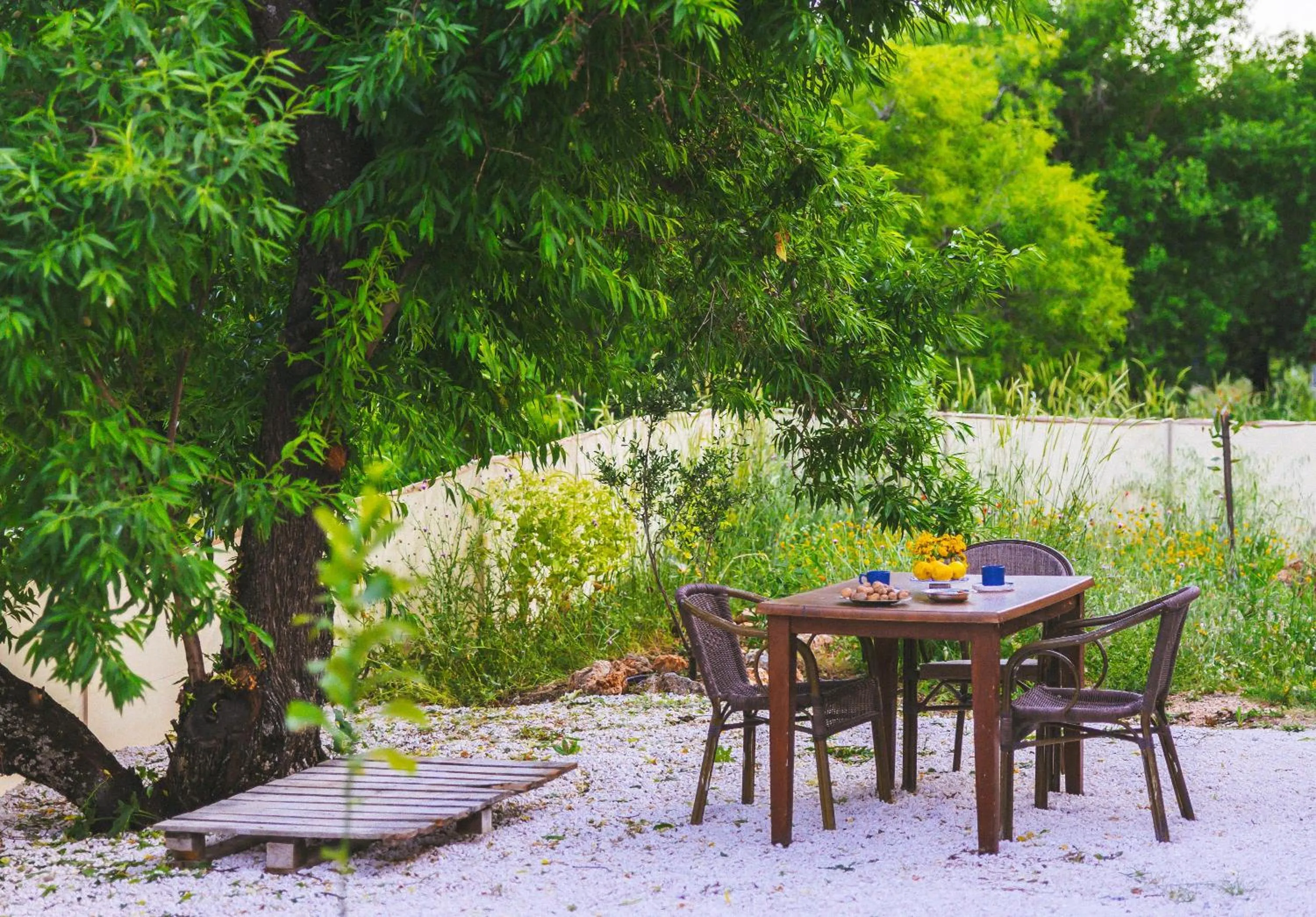 Bademlique Stone Rooms