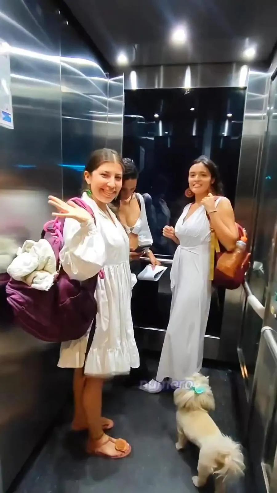 elevator in Hotel Blue 66