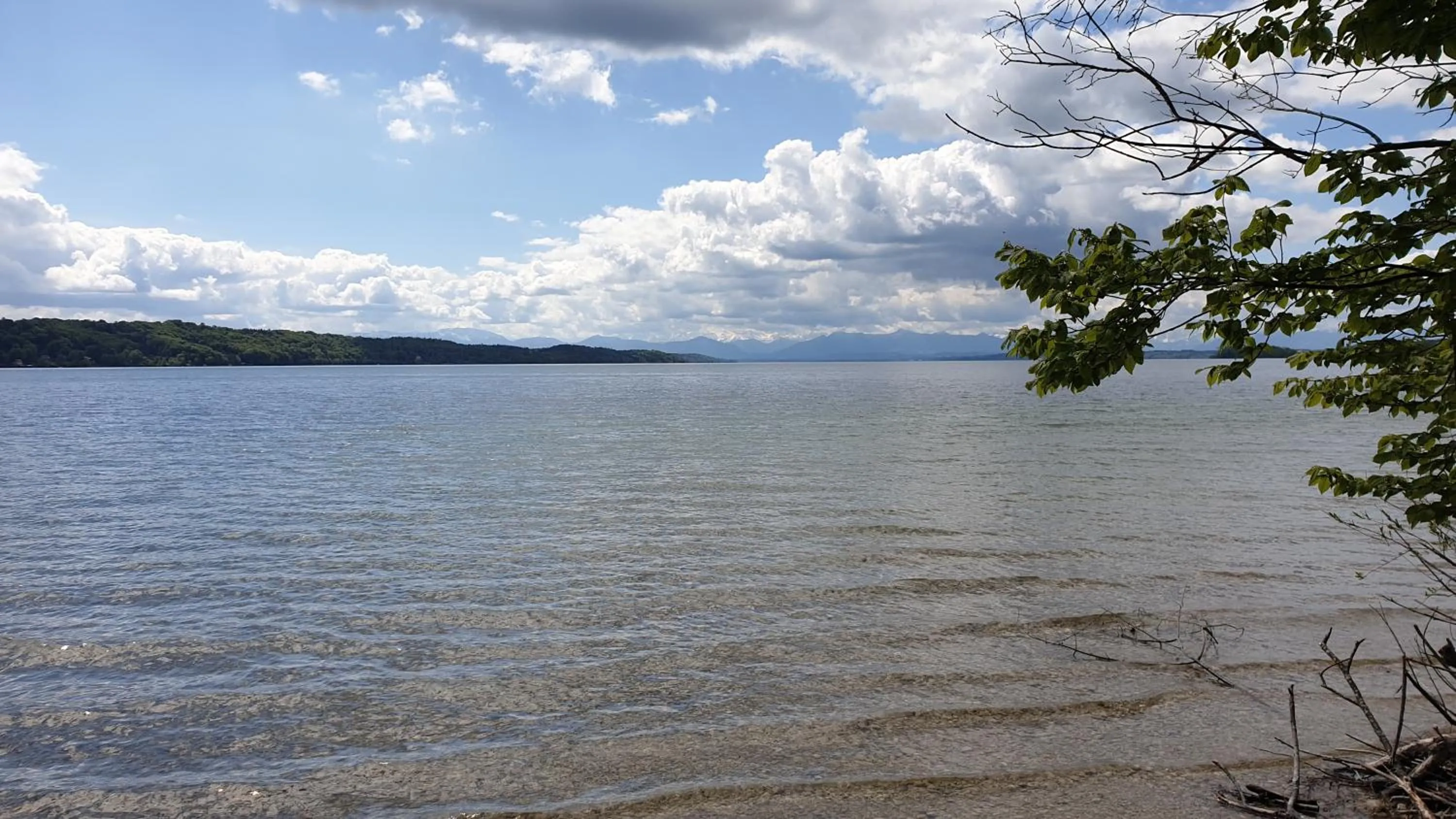 Natural landscape in Hotel Villa Sisi