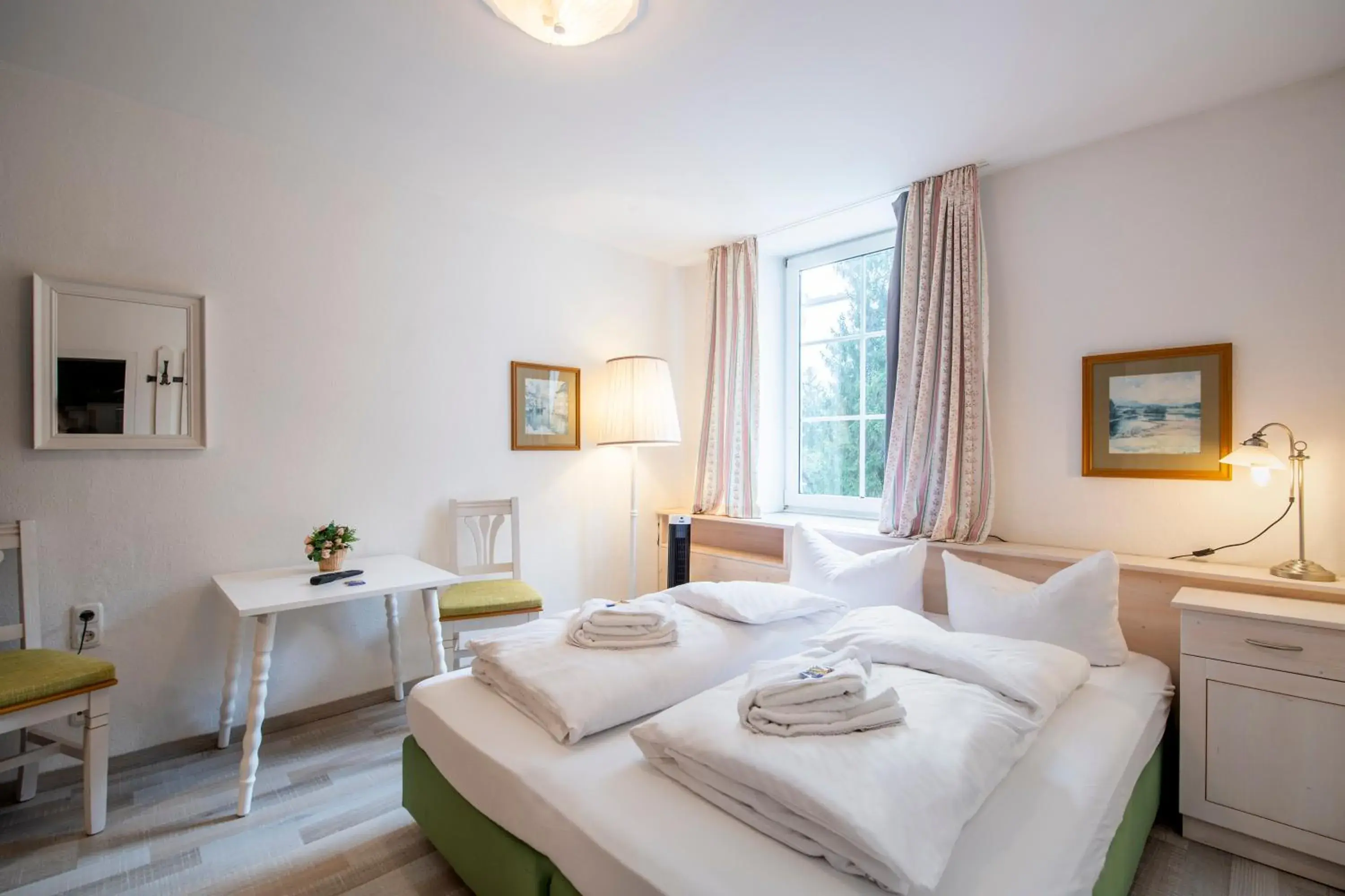 Double Room in Hotel Villa Sisi Double Room in Hotel Villa Sisi