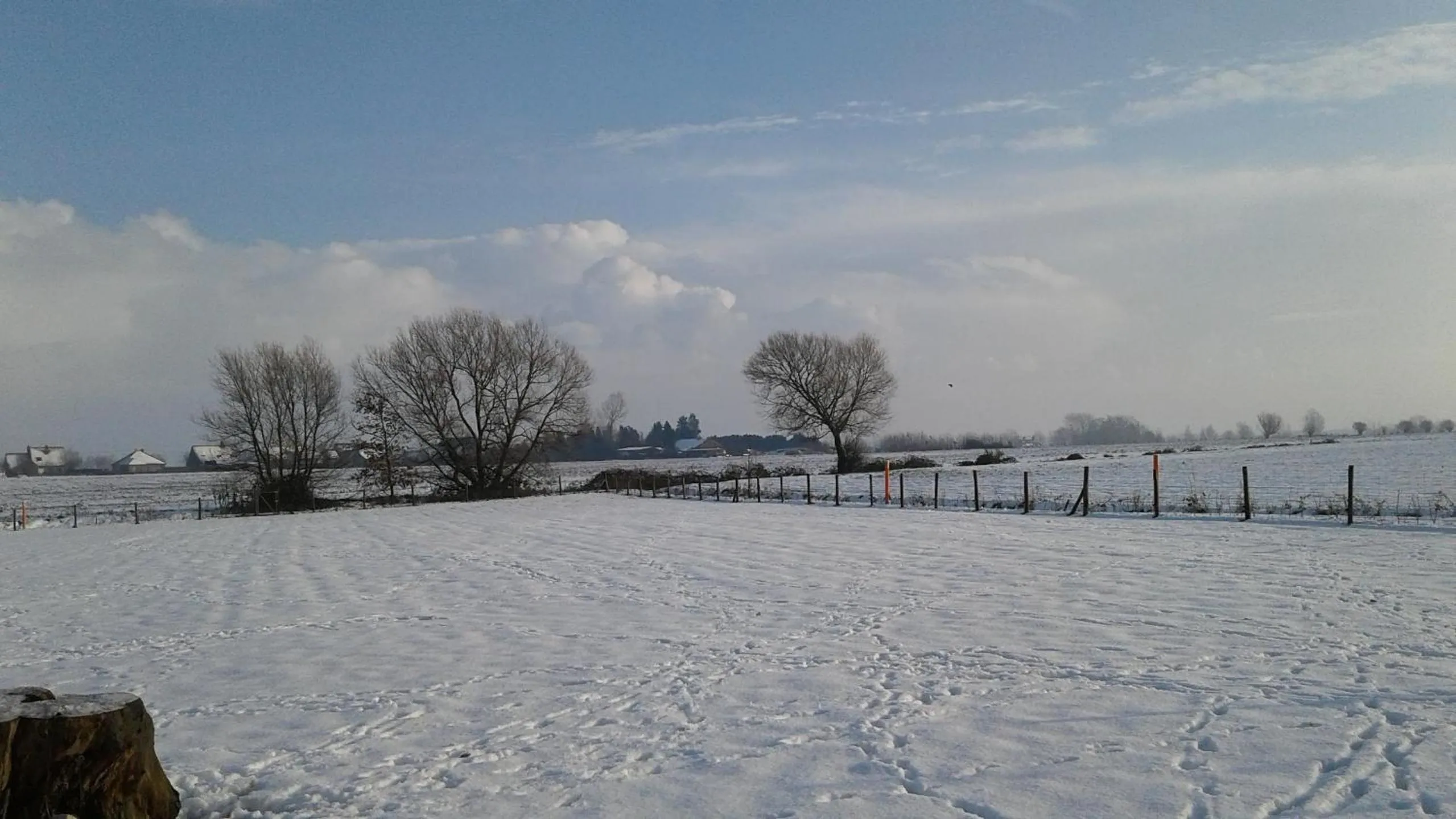 Natural landscape in B & B Victors Hof, met zwemvijver in landelijke setting