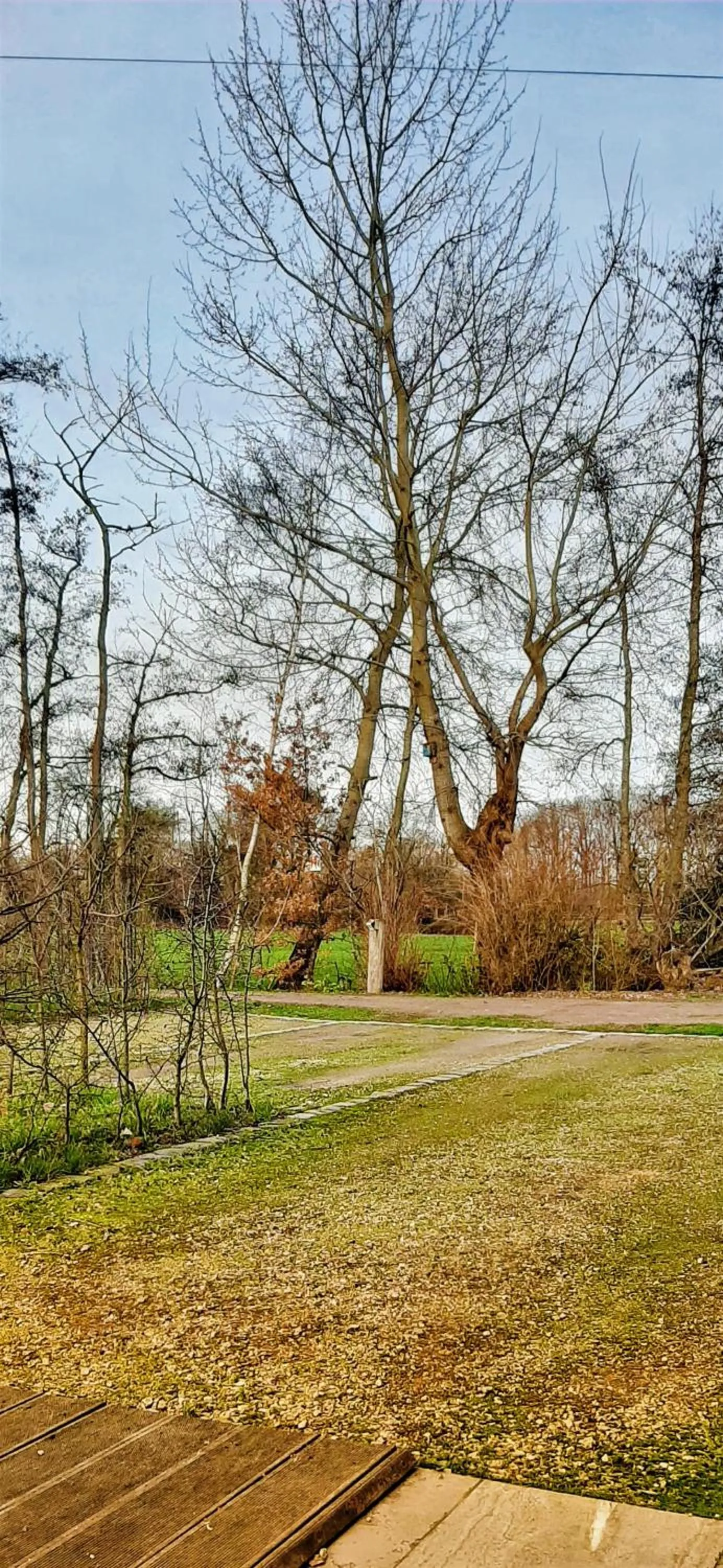 Garden view in B & B Victors Hof, met zwemvijver in landelijke setting