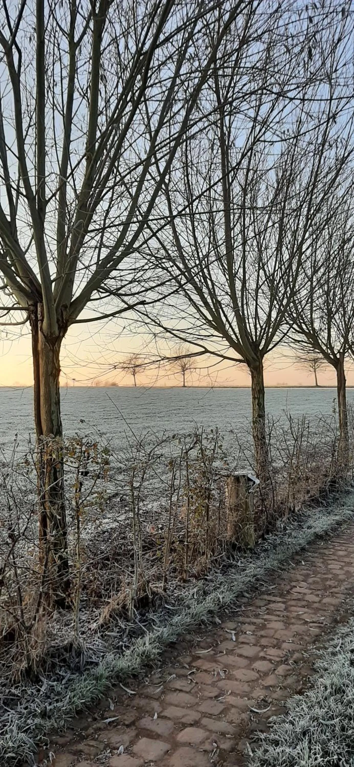 Natural landscape in B & B Victors Hof, met zwemvijver in landelijke setting