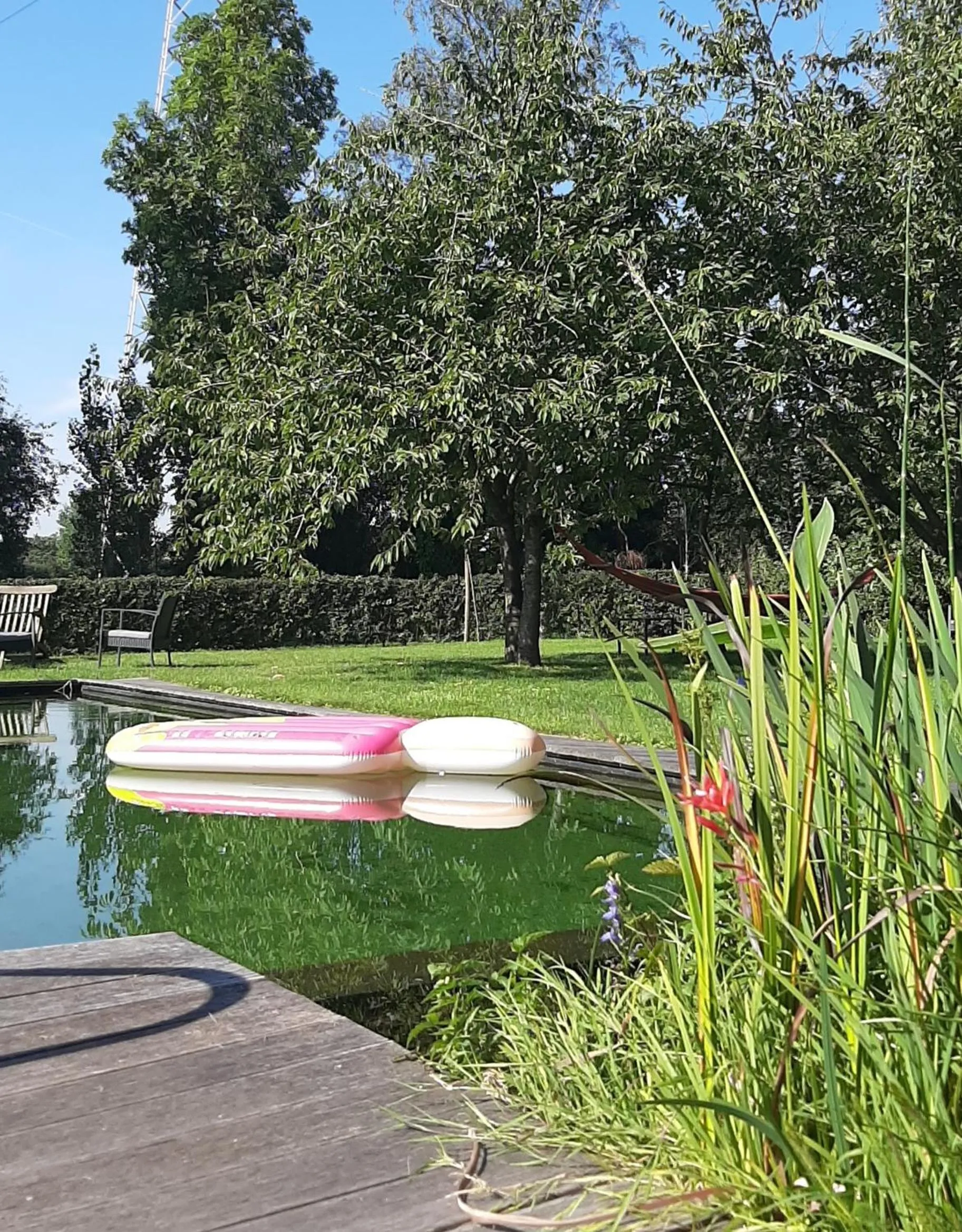 Swimming pool in B & B Victors Hof, met zwemvijver en leuke diertjes