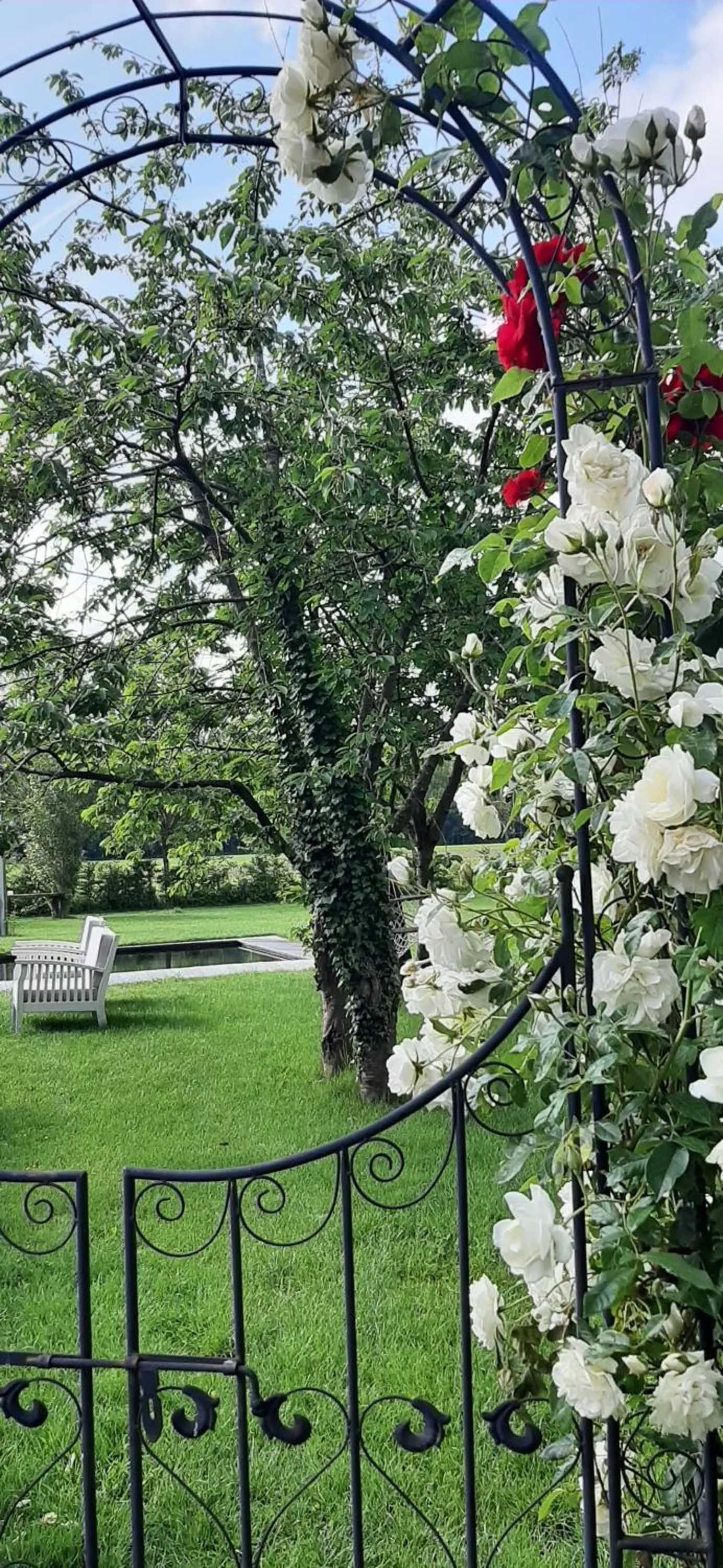 Spring in B & B Victors Hof, met zwemvijver in landelijke setting