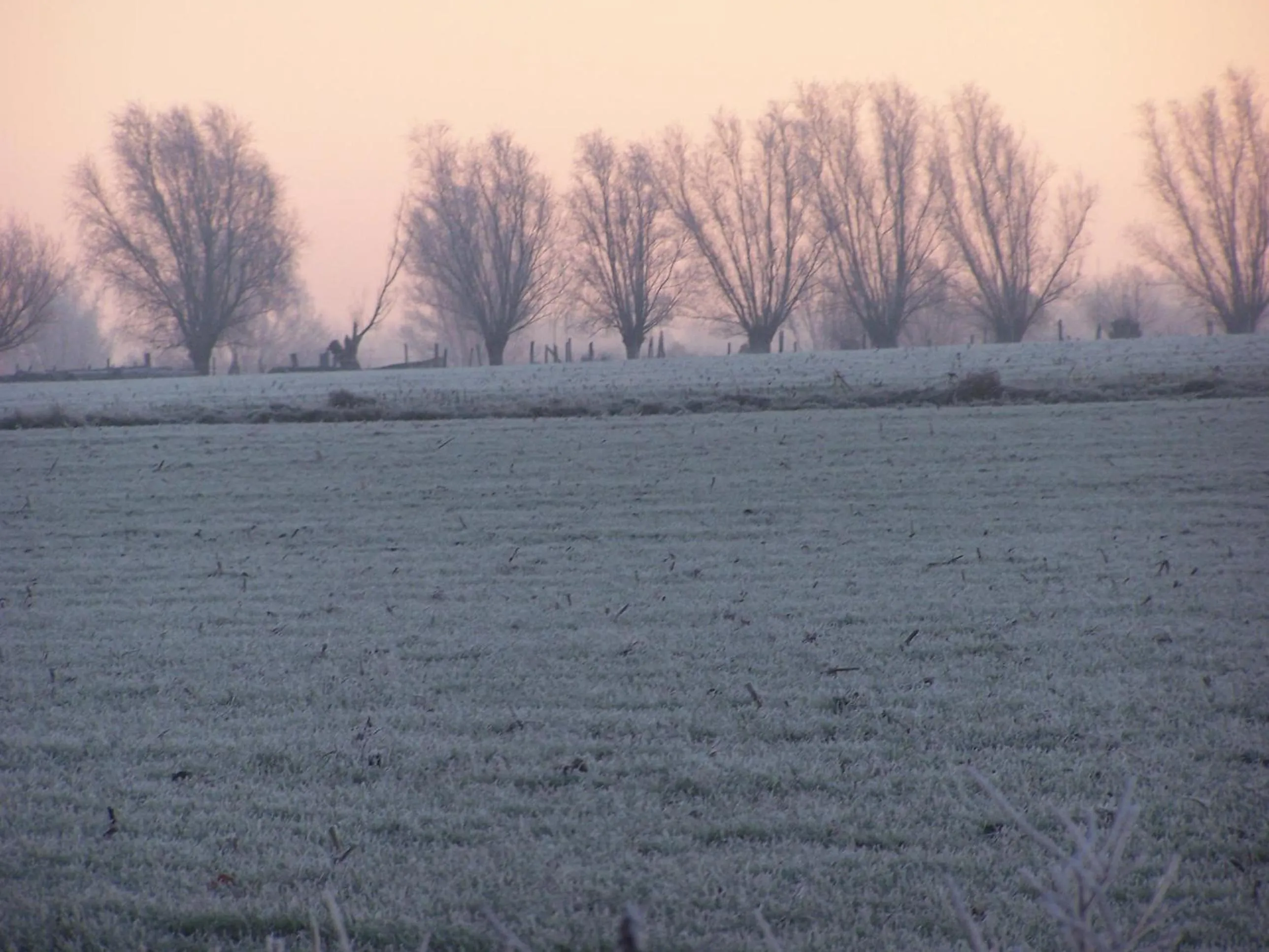 Sunrise in B & B Victors Hof, met zwemvijver in landelijke setting
