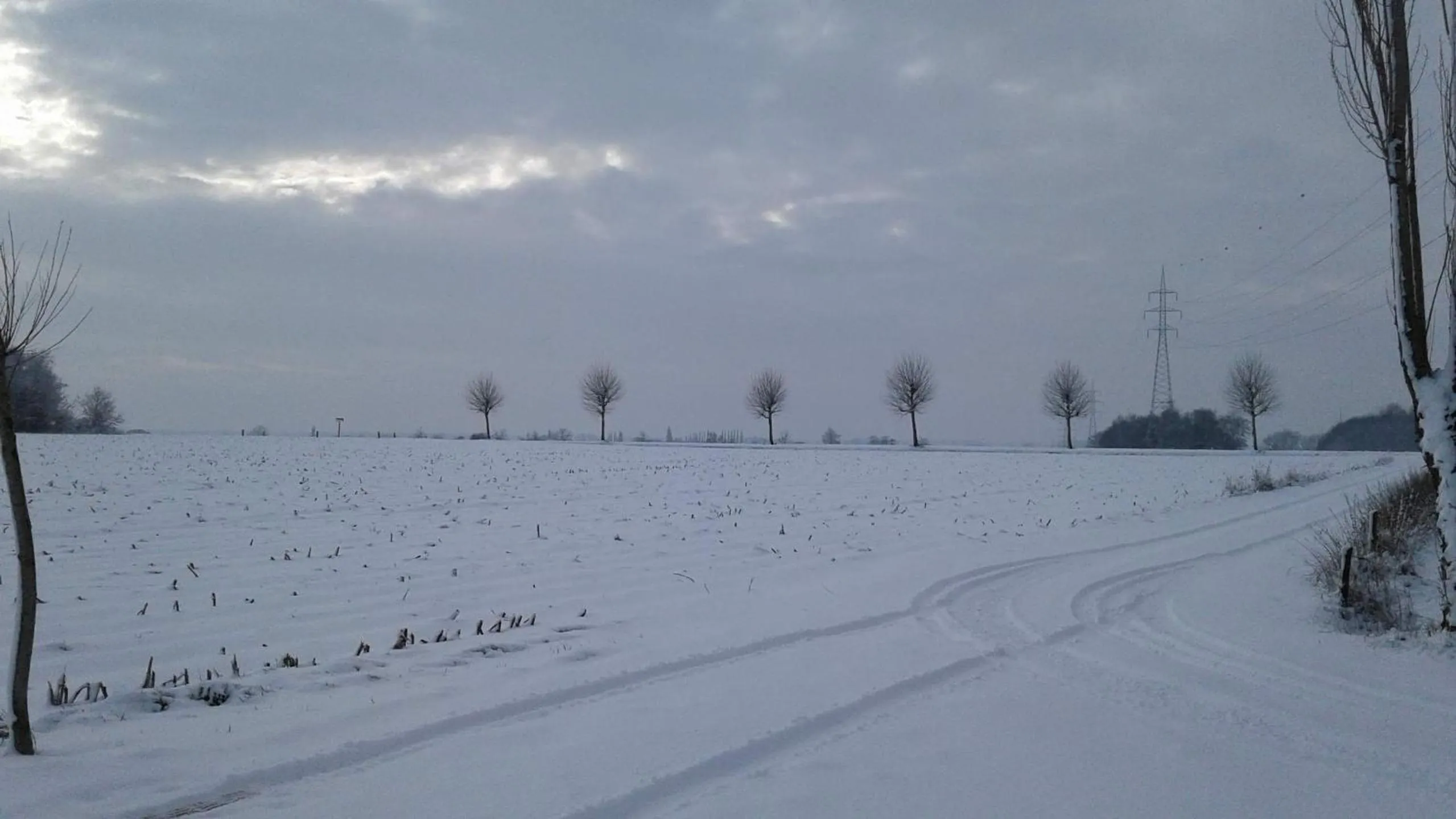 Natural landscape in B & B Victors Hof, met zwemvijver in landelijke setting