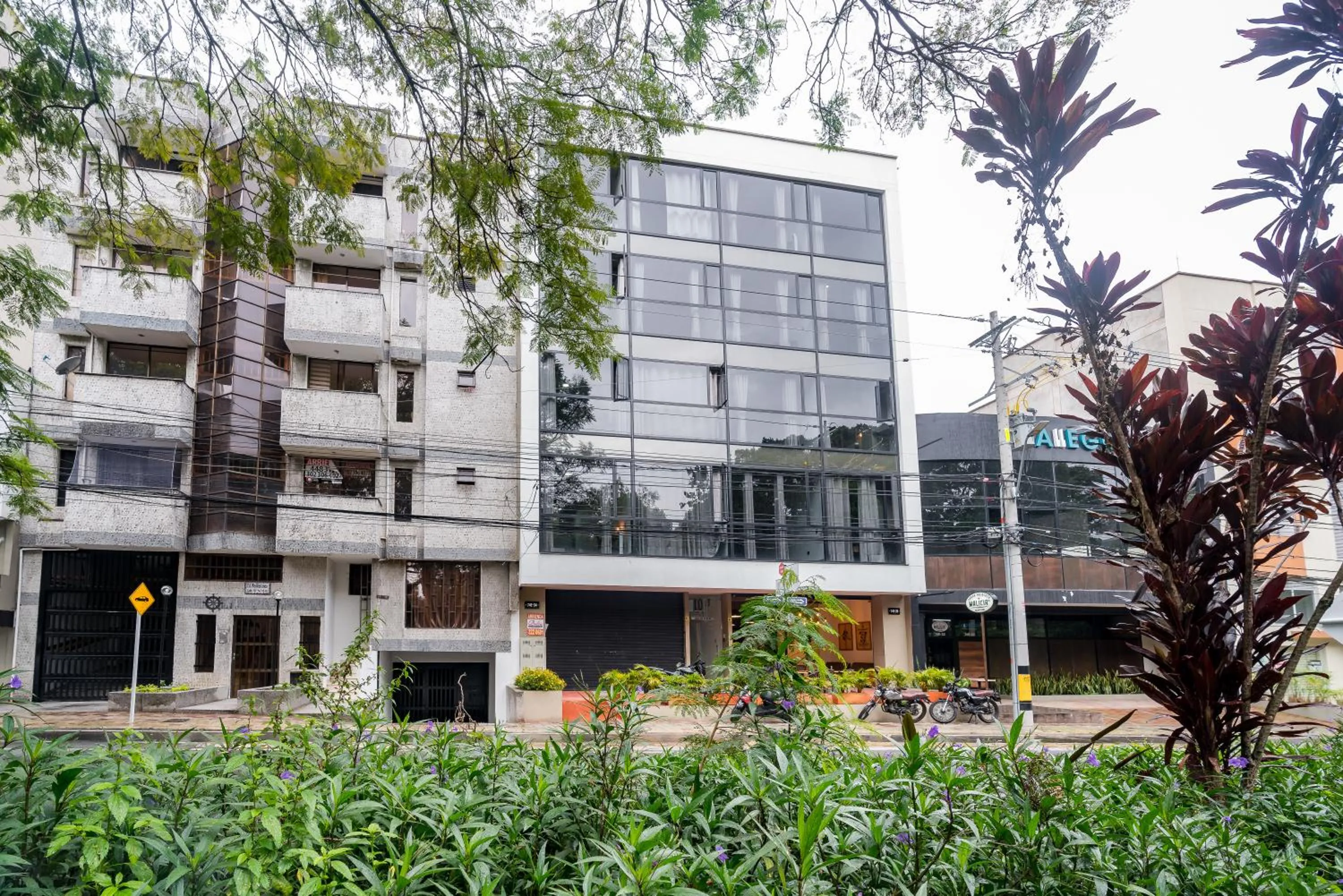 Spring in Loft 32 Medellín Living