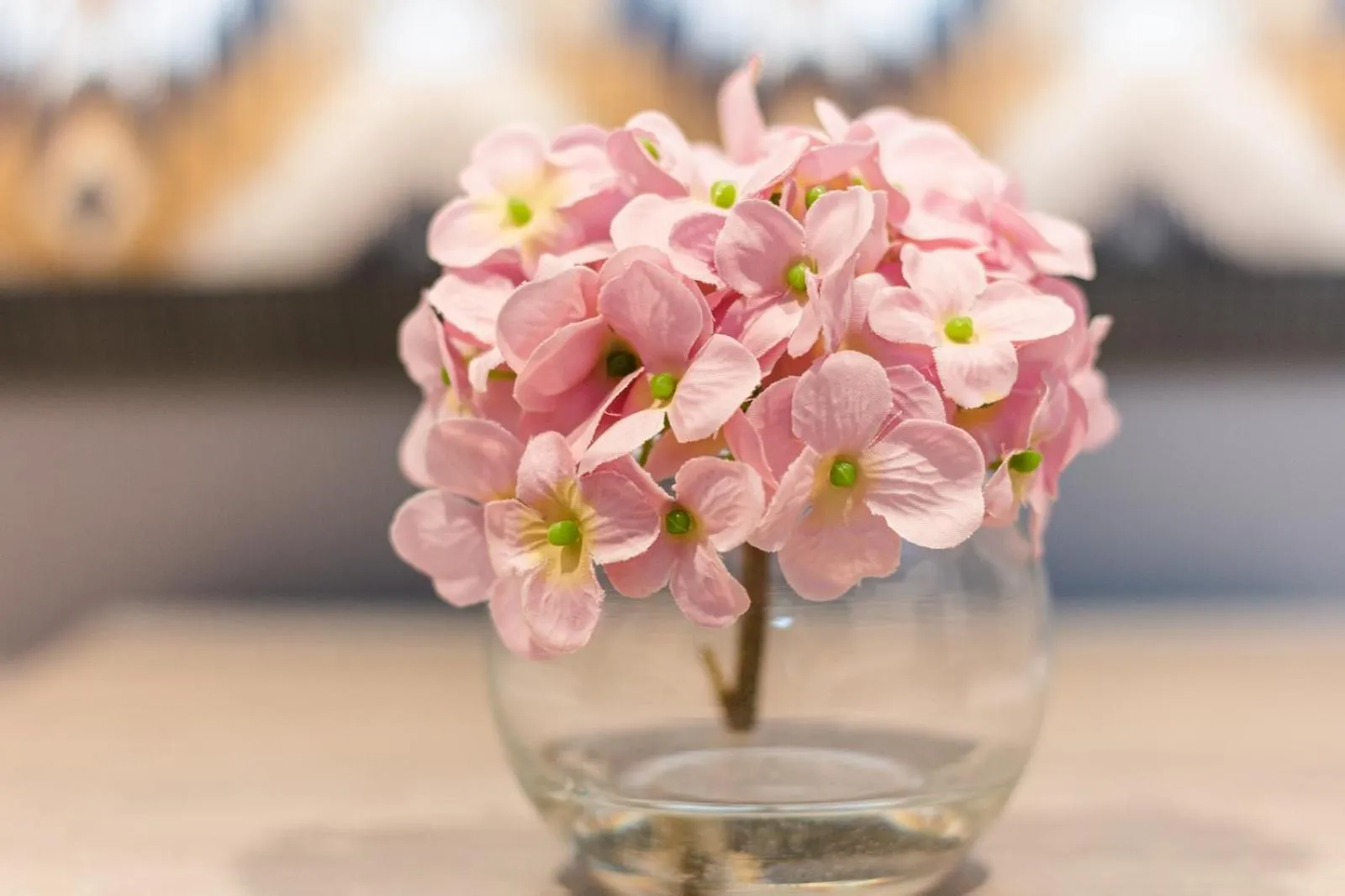 hair dresser in JJs Lodge Lakewood