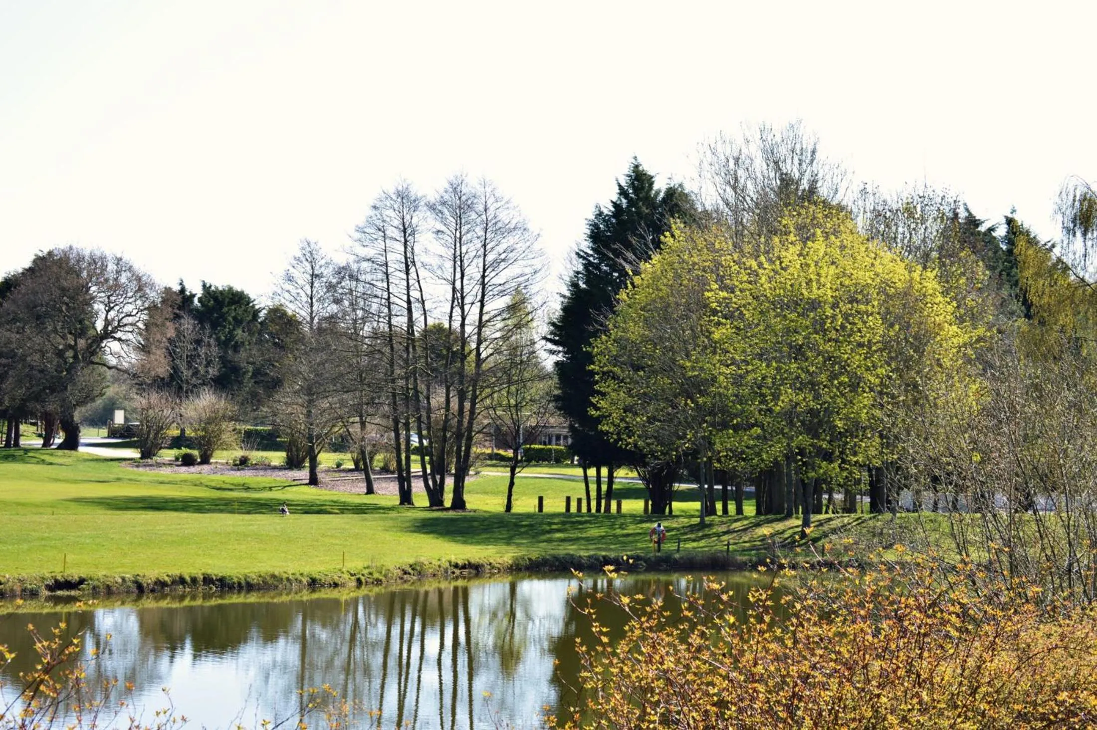 Natural landscape in JJs Lodge Lakewood