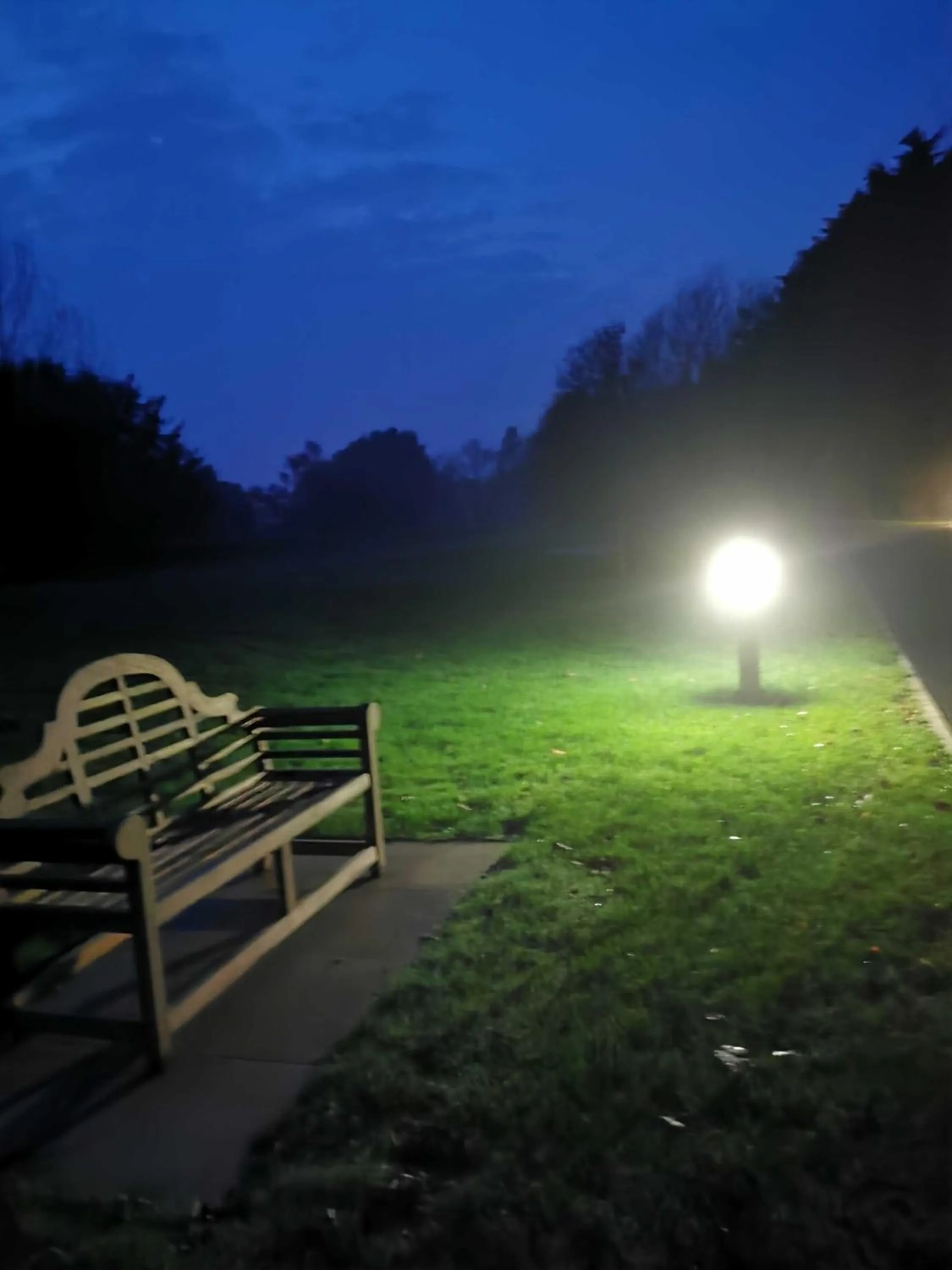 Natural landscape in JJs Lodge Lakewood