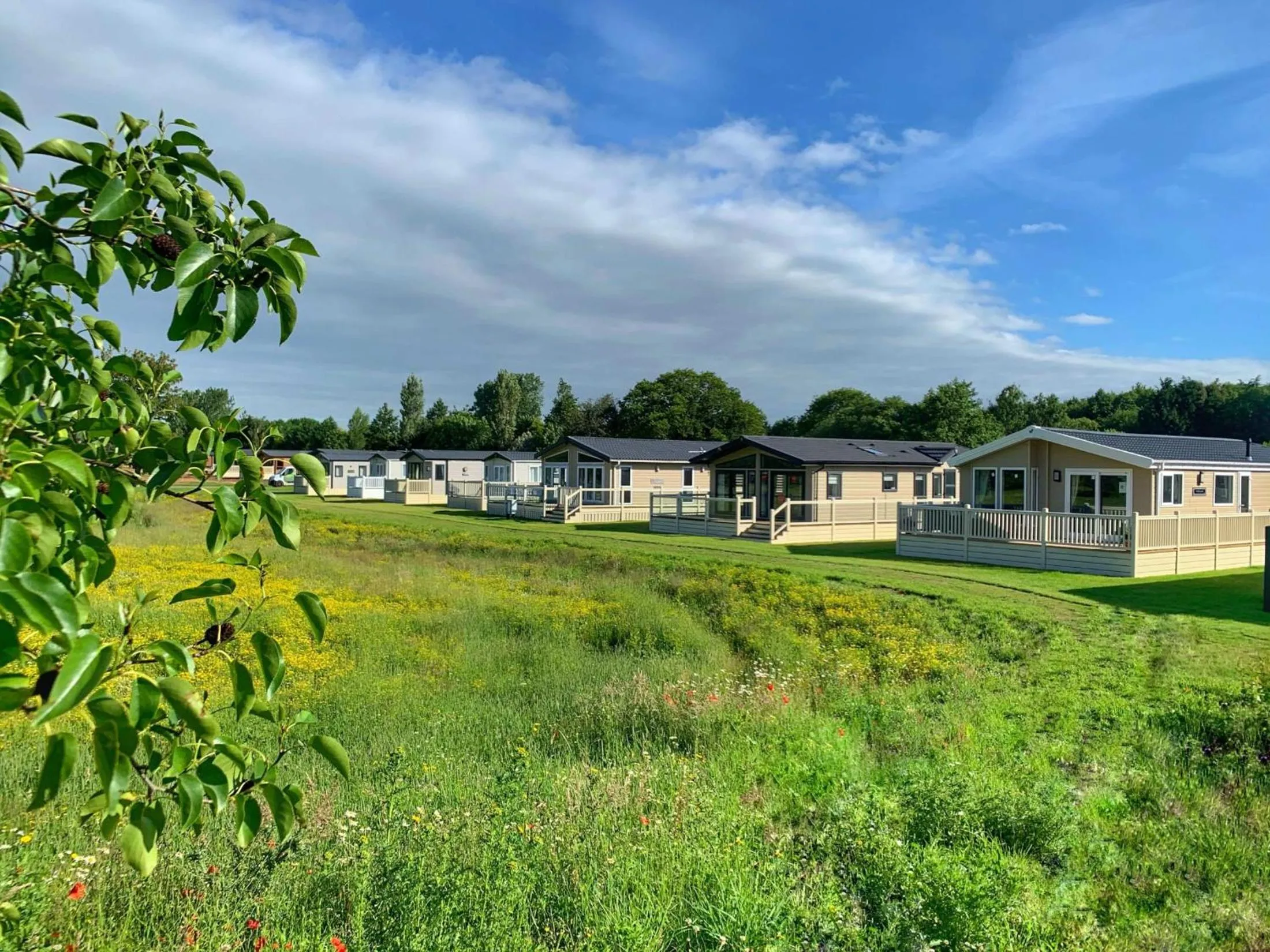 Property building in JJs Lodge Lakewood