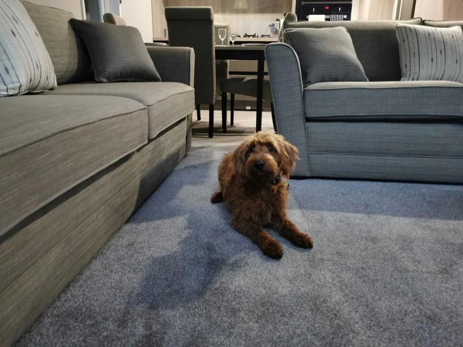 Living room in JJs Lodge Lakewood