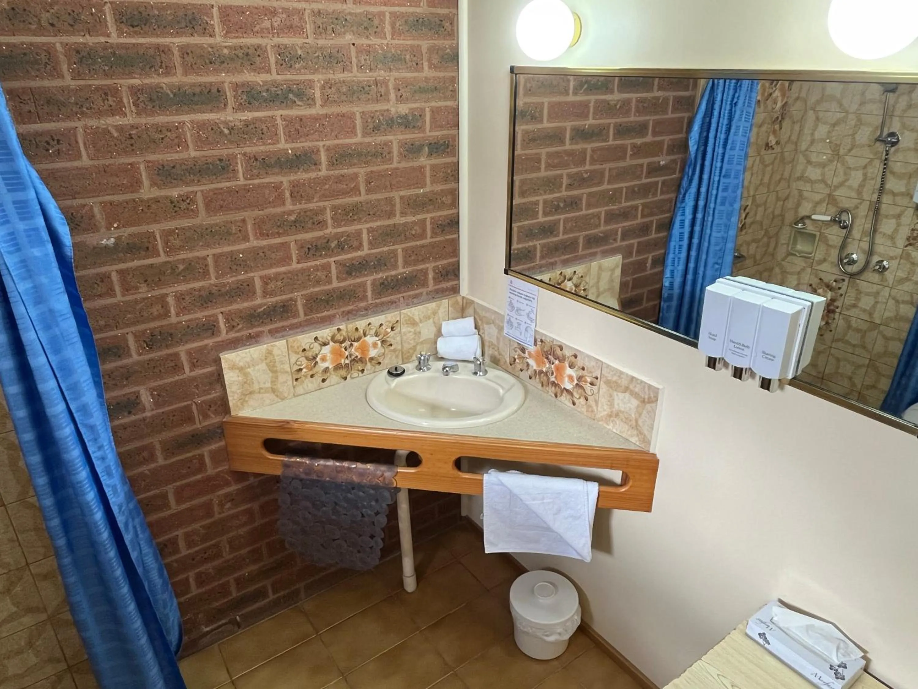 Bathroom in Barham Riverland Motel