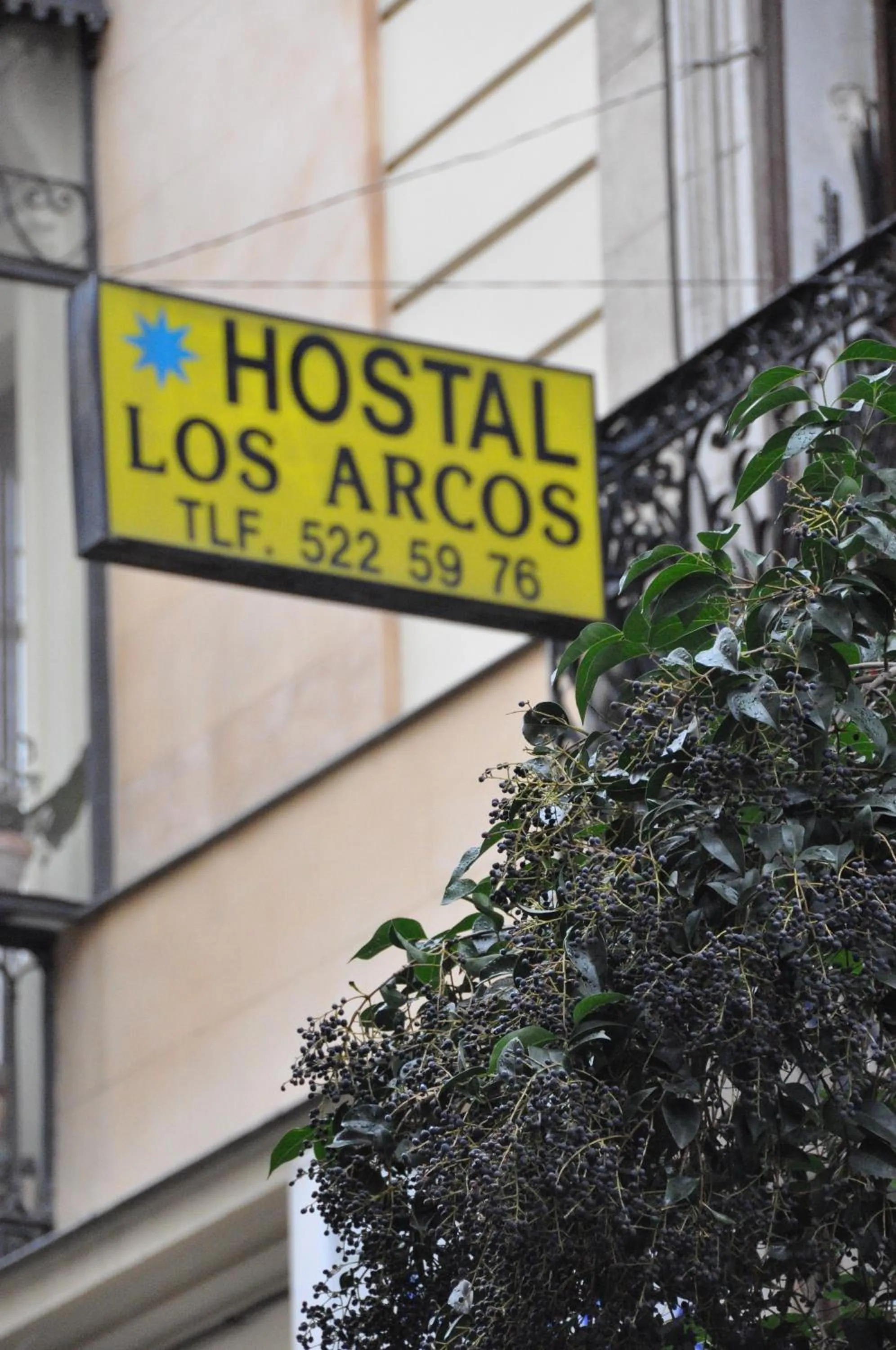 Day in Hostal Los Arcos
