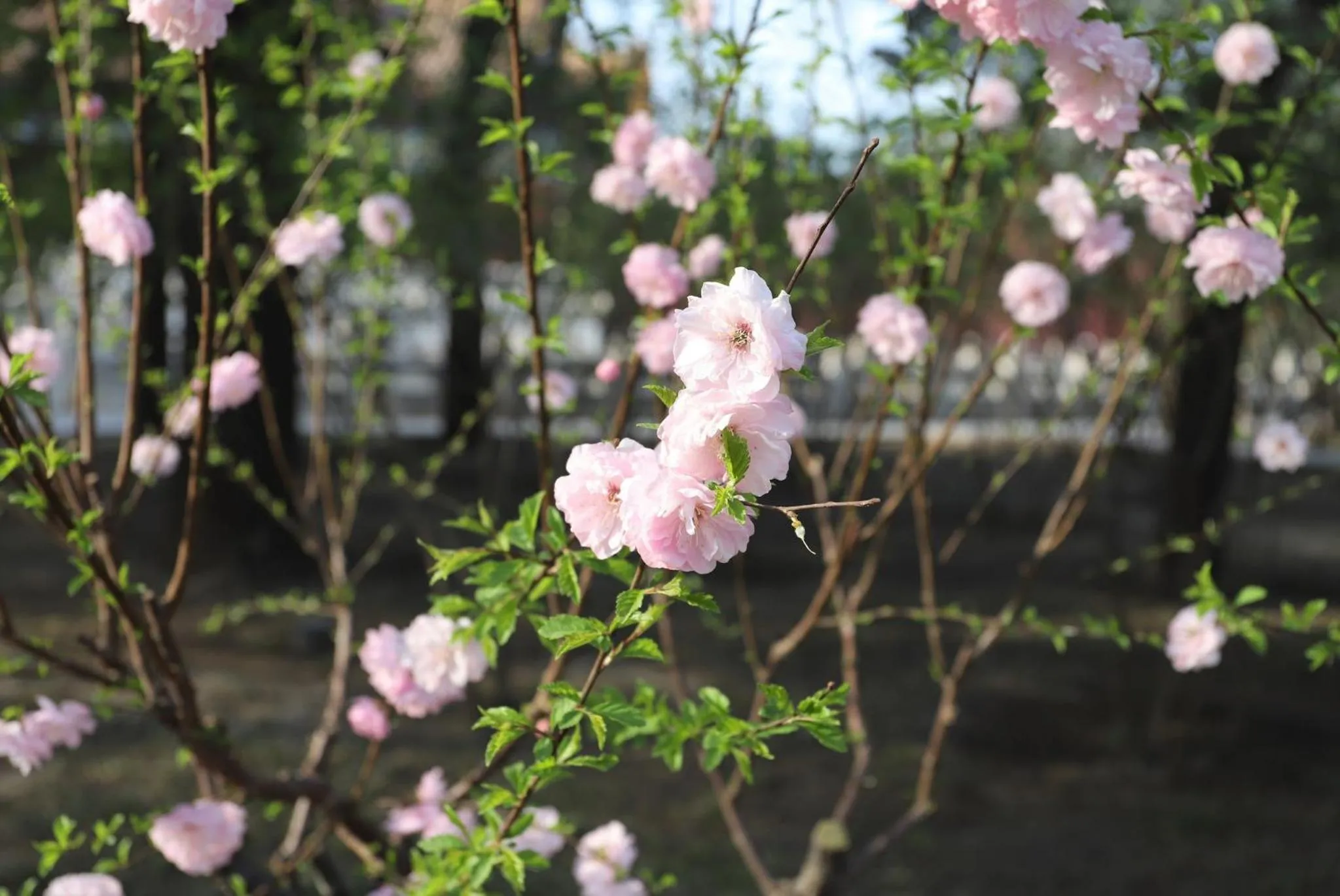 Nearby landmark in Crowne Plaza Beijing Sun Palace, an IHG Hotel