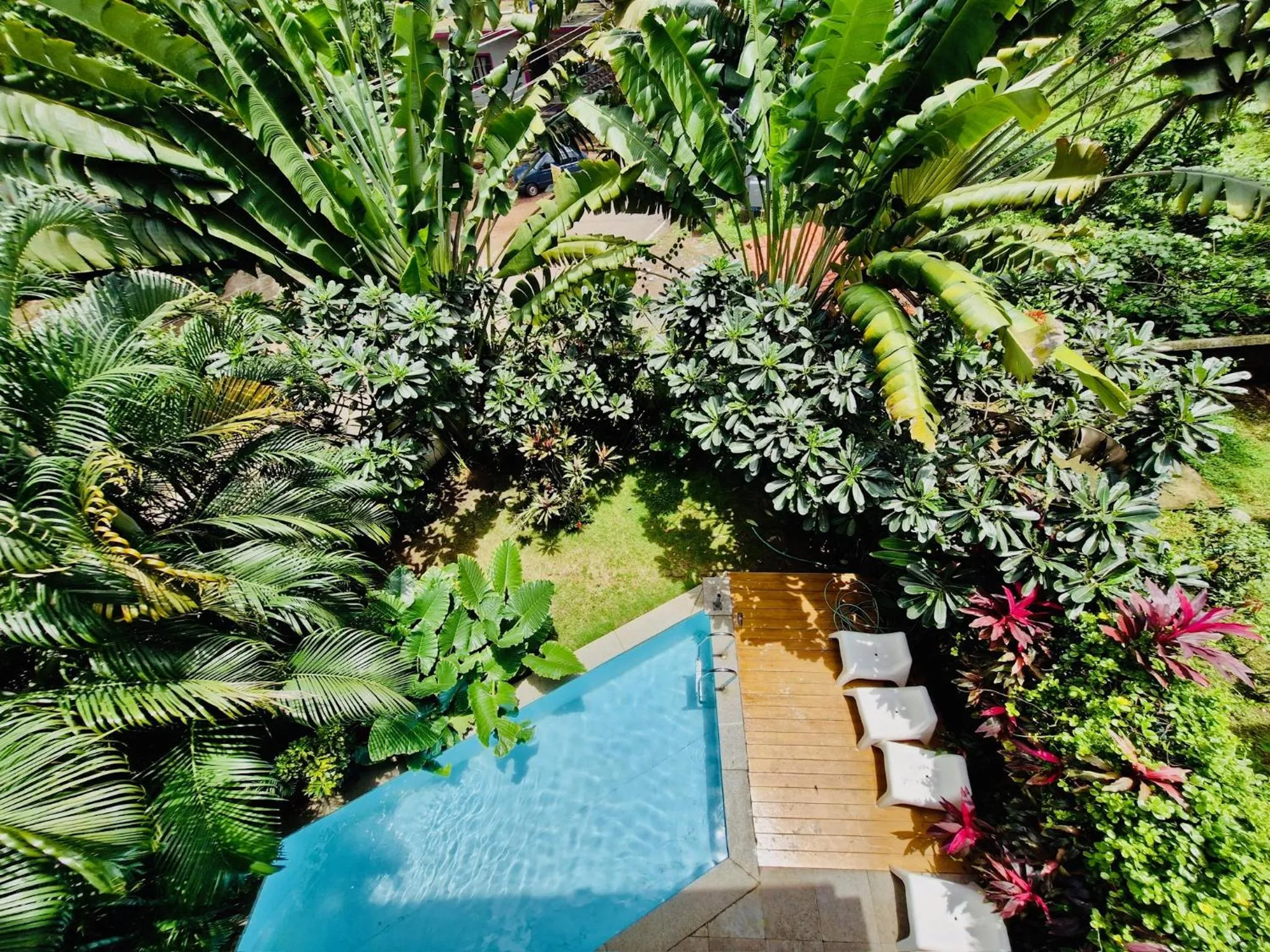Swimming pool in HALF Hotel, Calangute