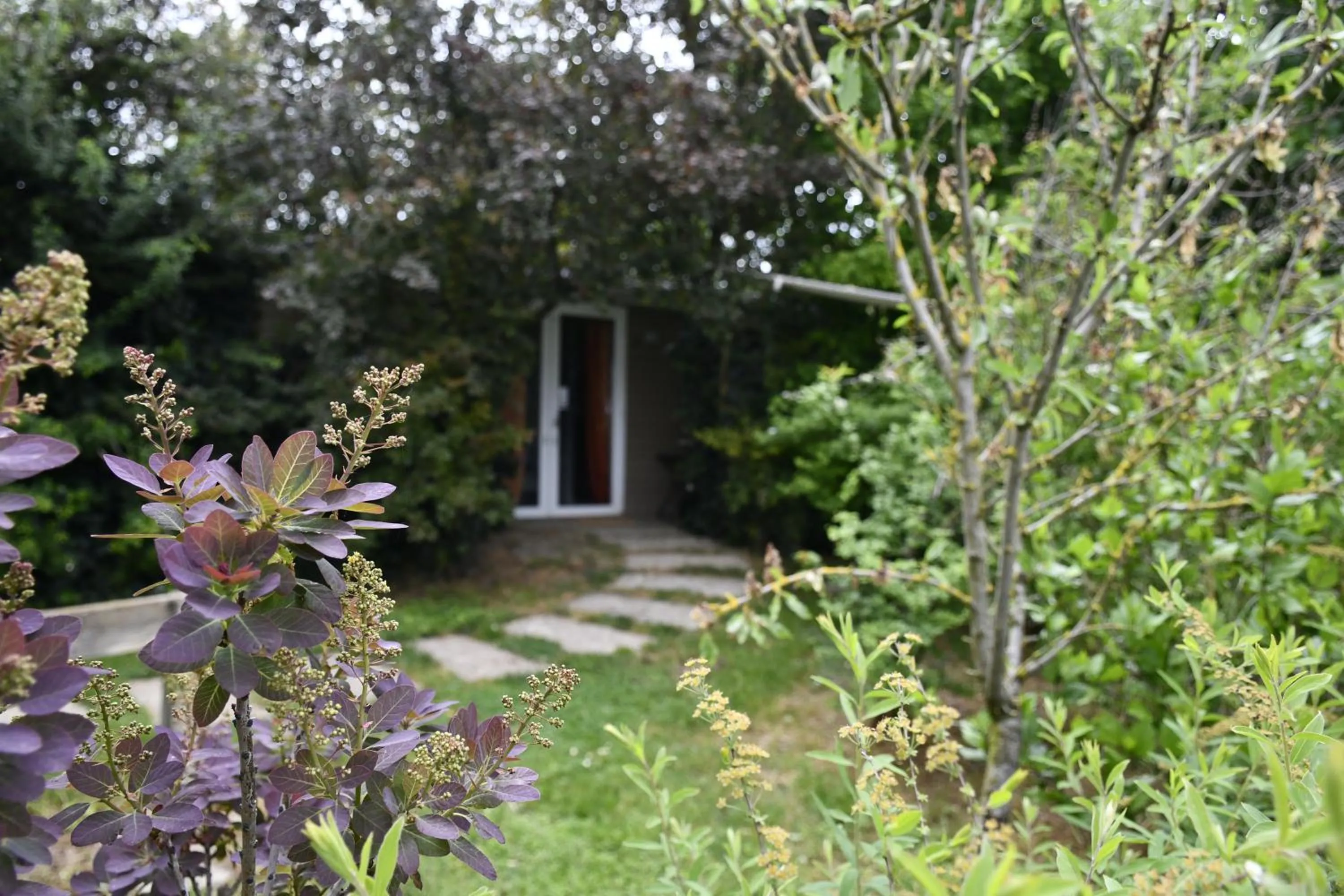 Property building in Palazzo delle Biscie - Old Tower & Village
