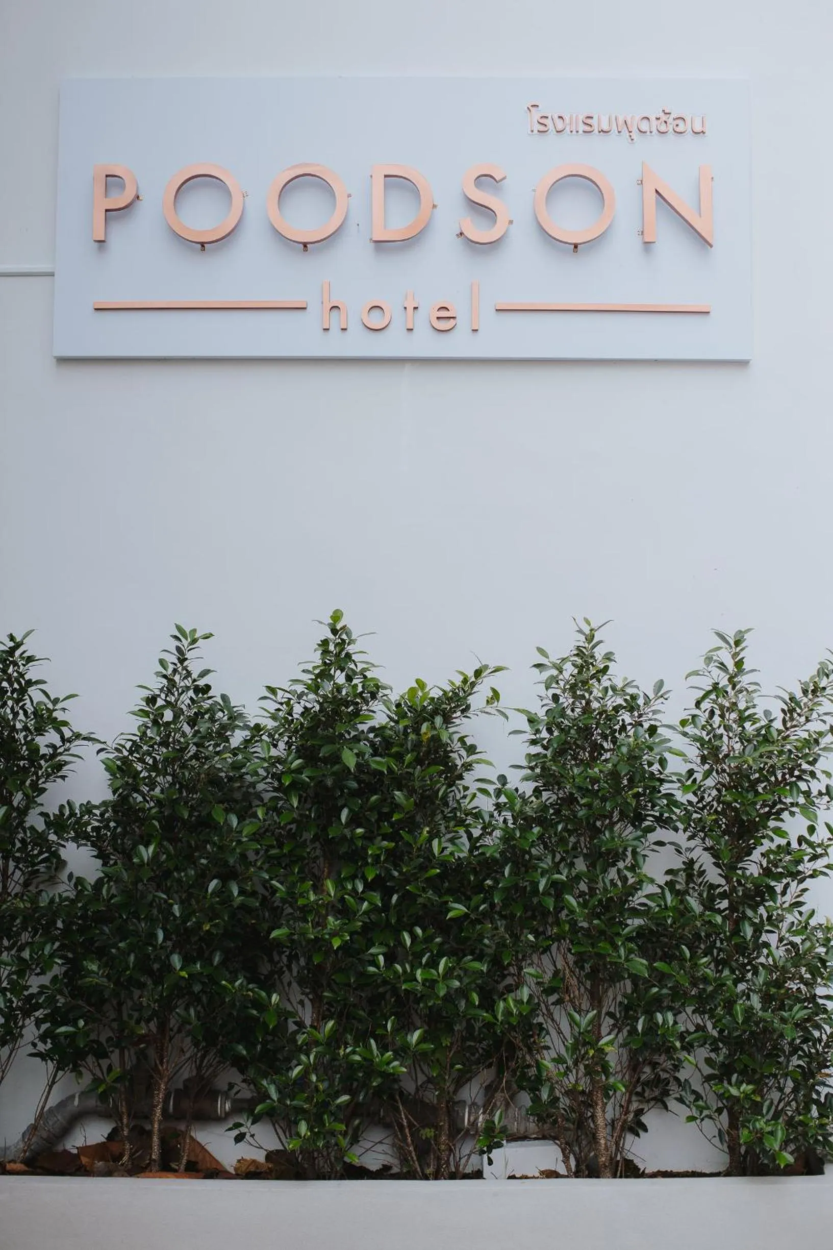 Property building in Poodson Hotel Chiangmai