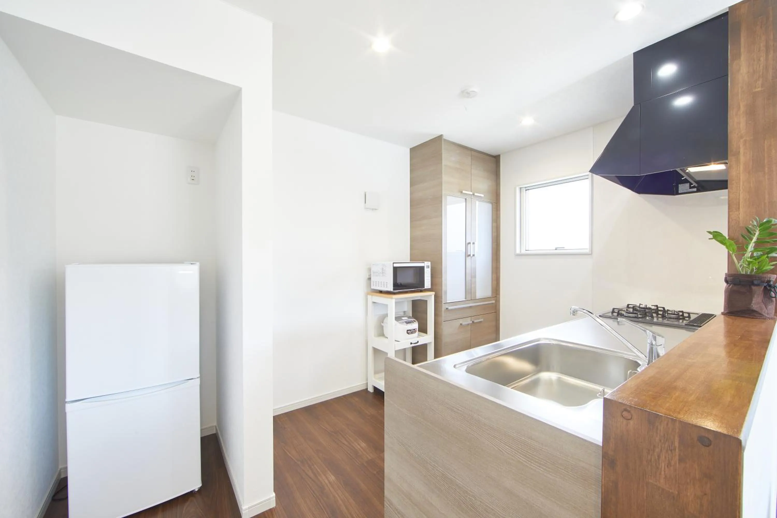 Kitchen or kitchenette in villa PILINA