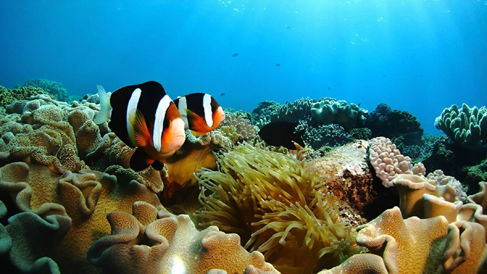 Nearby landmark in villa PILINA