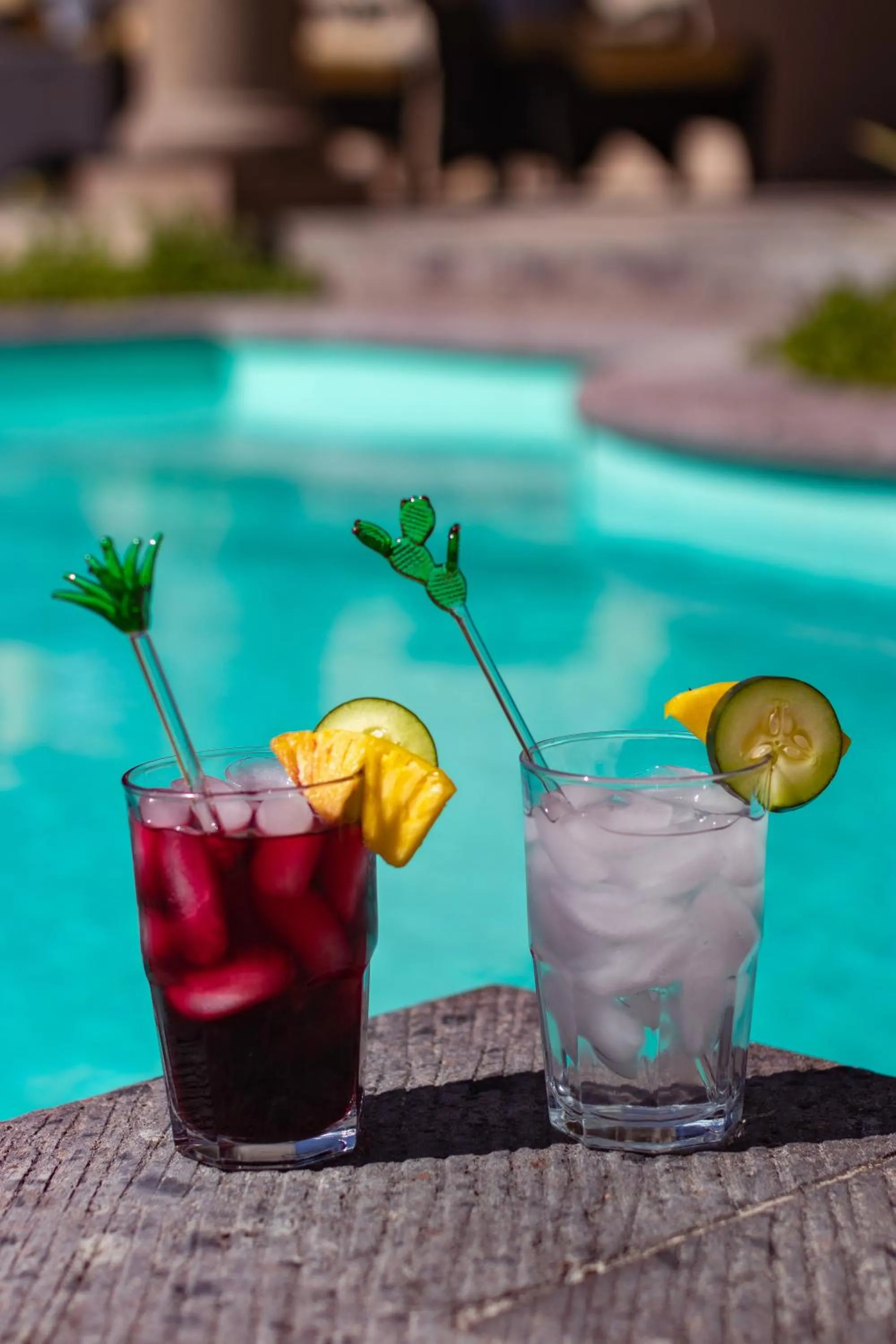 Food and drinks in Casa Las Palmas, San Miguel de Allende